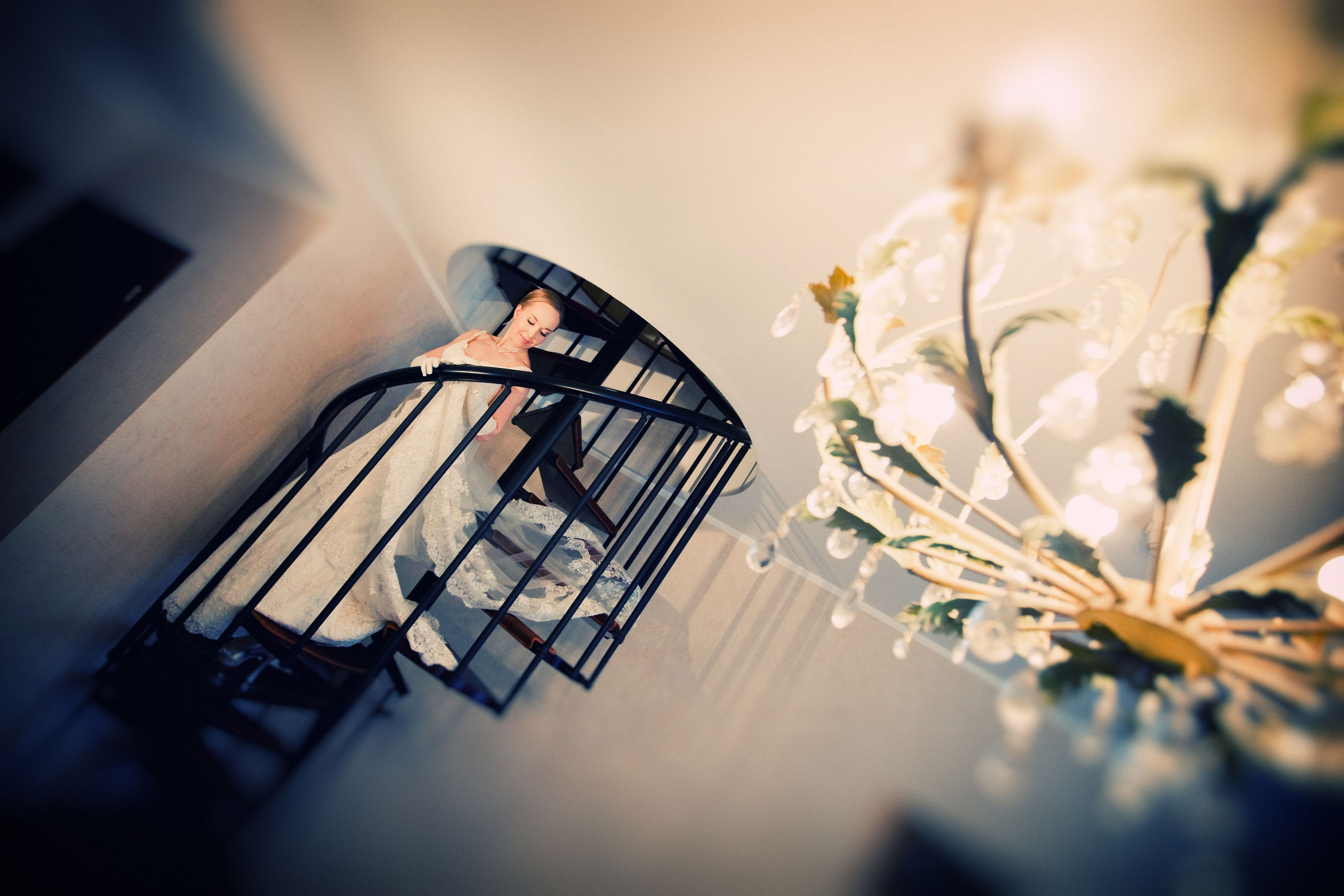 Свадьбы. Фотограф Алексей Архангельский