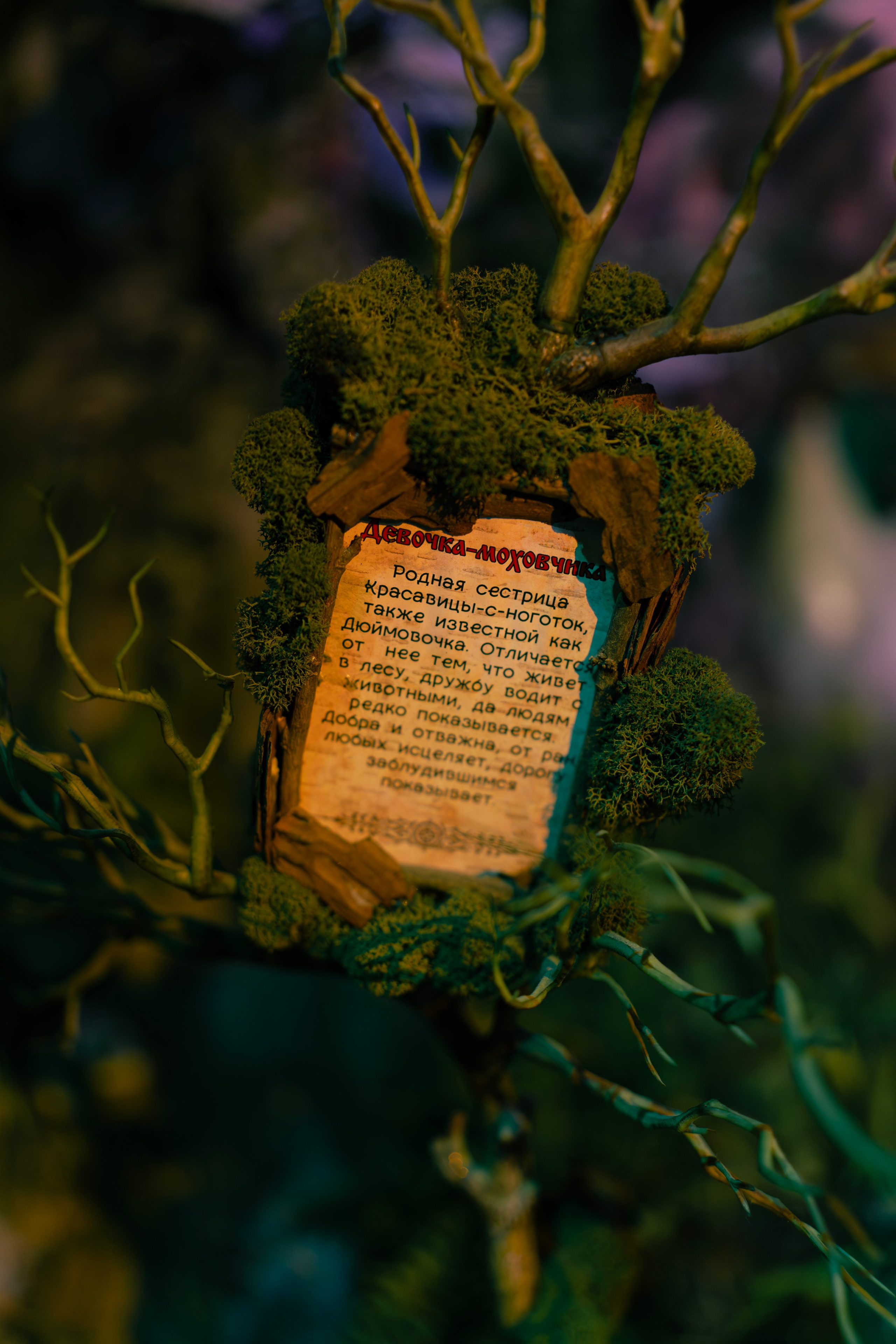 Небылица. Баев Дмитрий — фотограф из СПБ