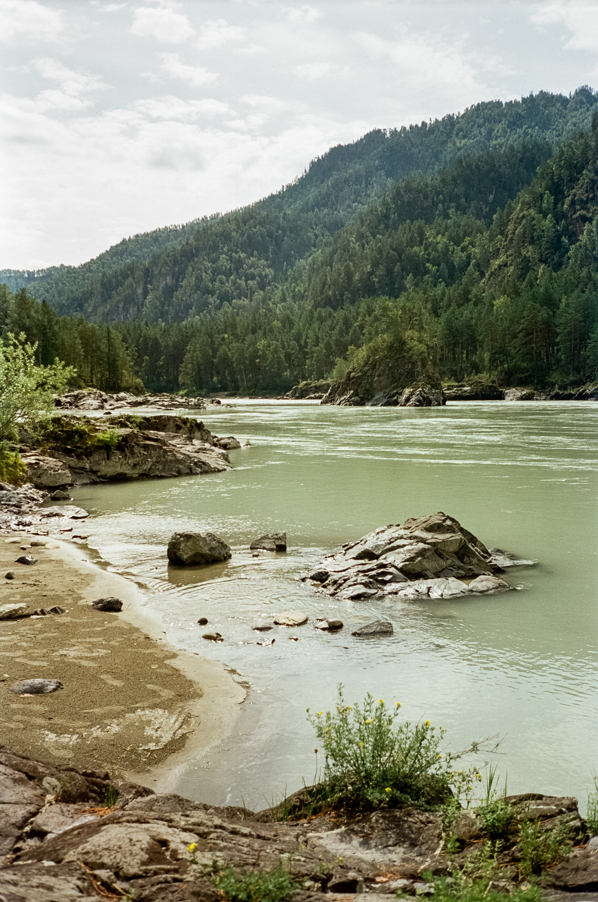 По Чемальскому тракту от Кедрового острова до реки Куюм. Фотограф-документалист Мария Осокина