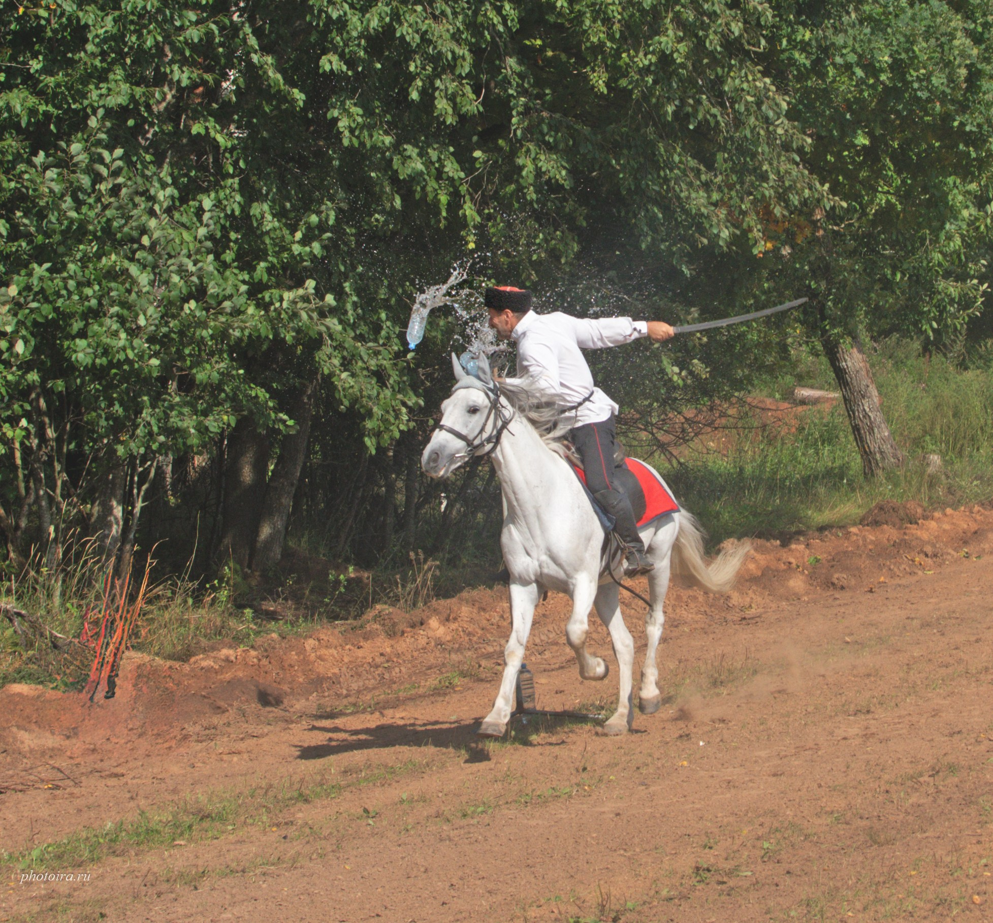 Мероприятия. Семейный фотограф в г. Гатчина