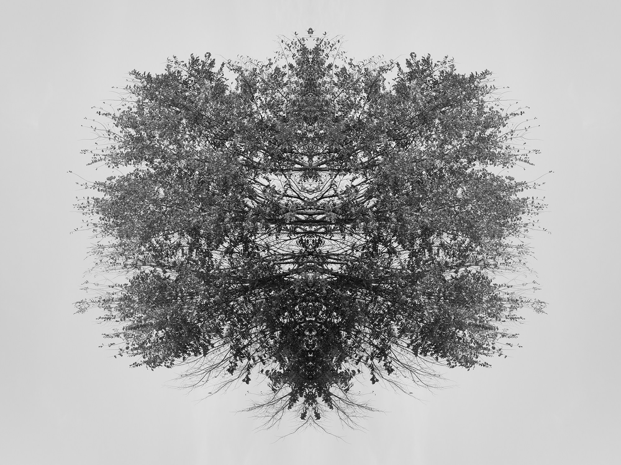 Острова. Анна Порошина — междисциплинарный художник