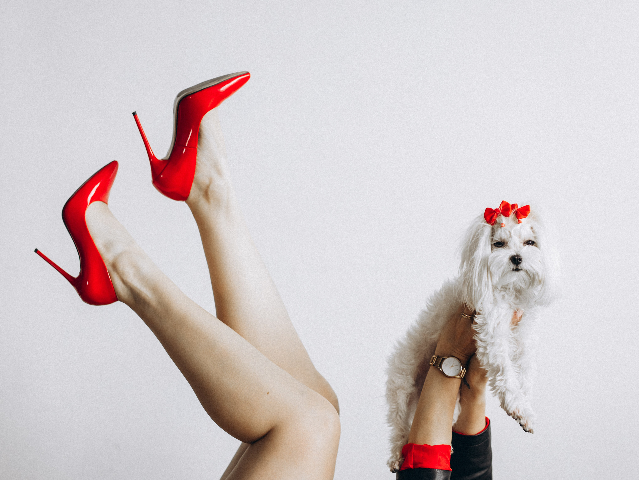 Мира и Таня. Фотограф-анималист в Москве Кириллова Татьяна