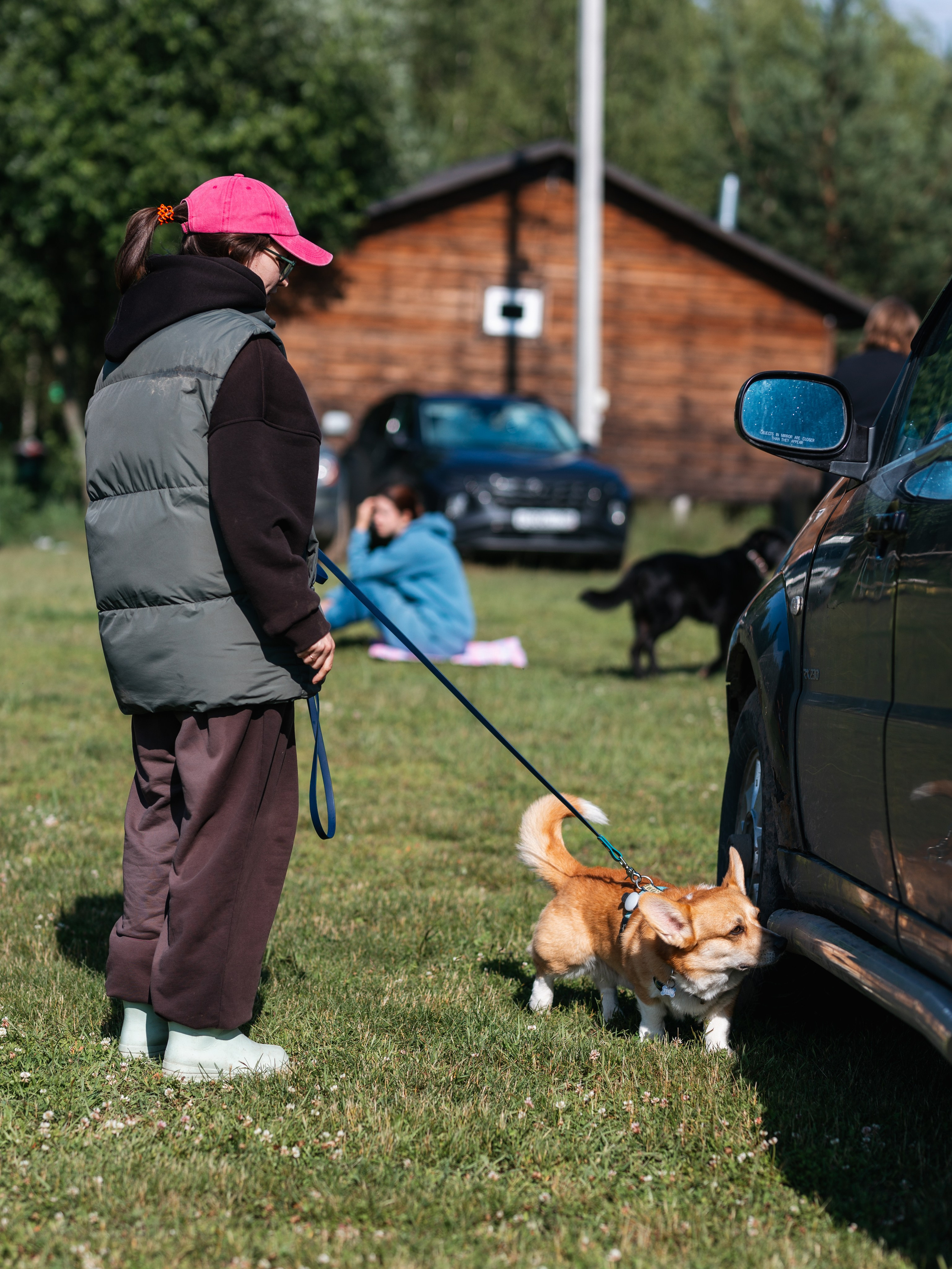 Лагерь ноузворк. Фотограф-анималист в Москве Кириллова Татьяна