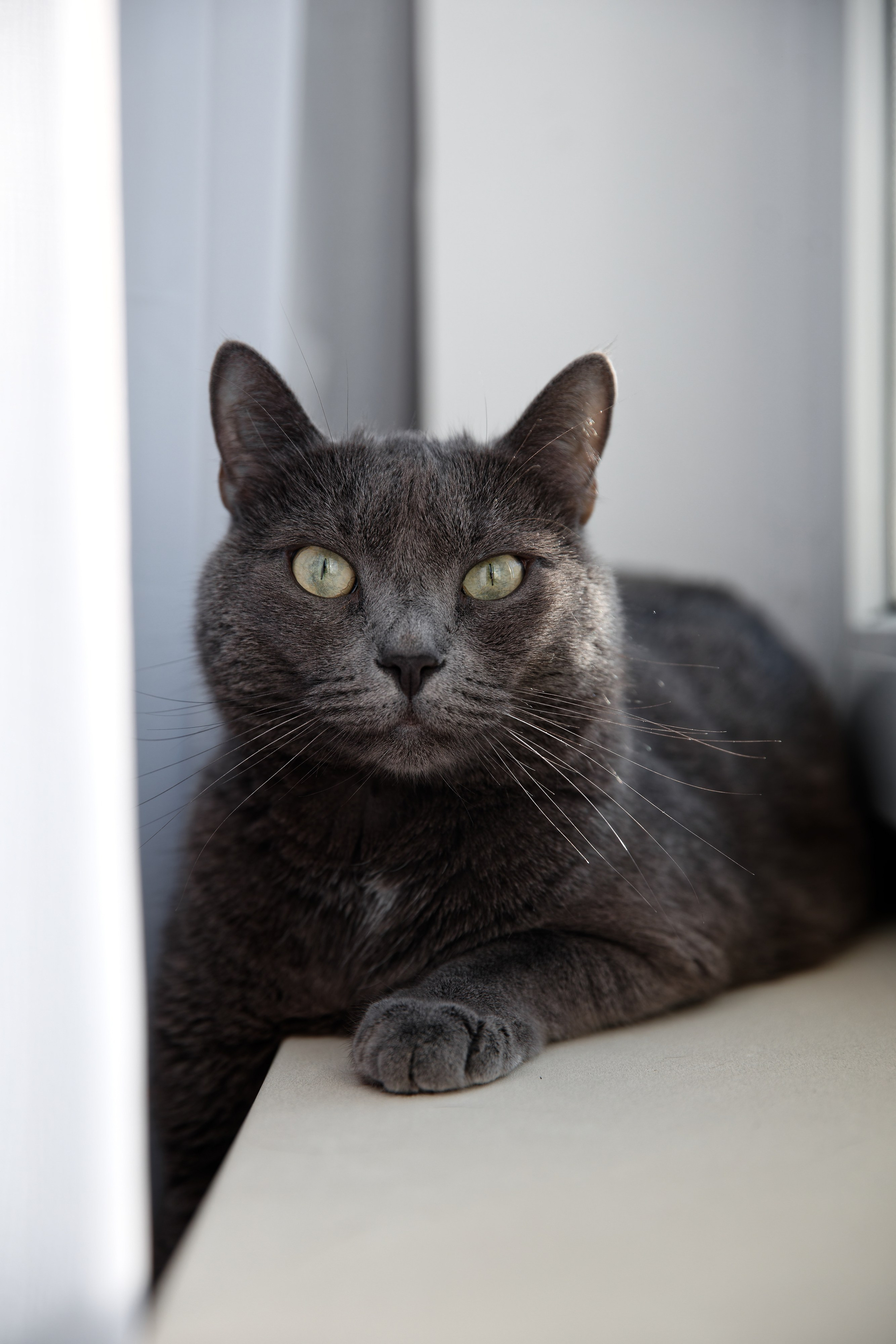 Семья Гуторовых. Семейный фотограф — Макс Белогрудов