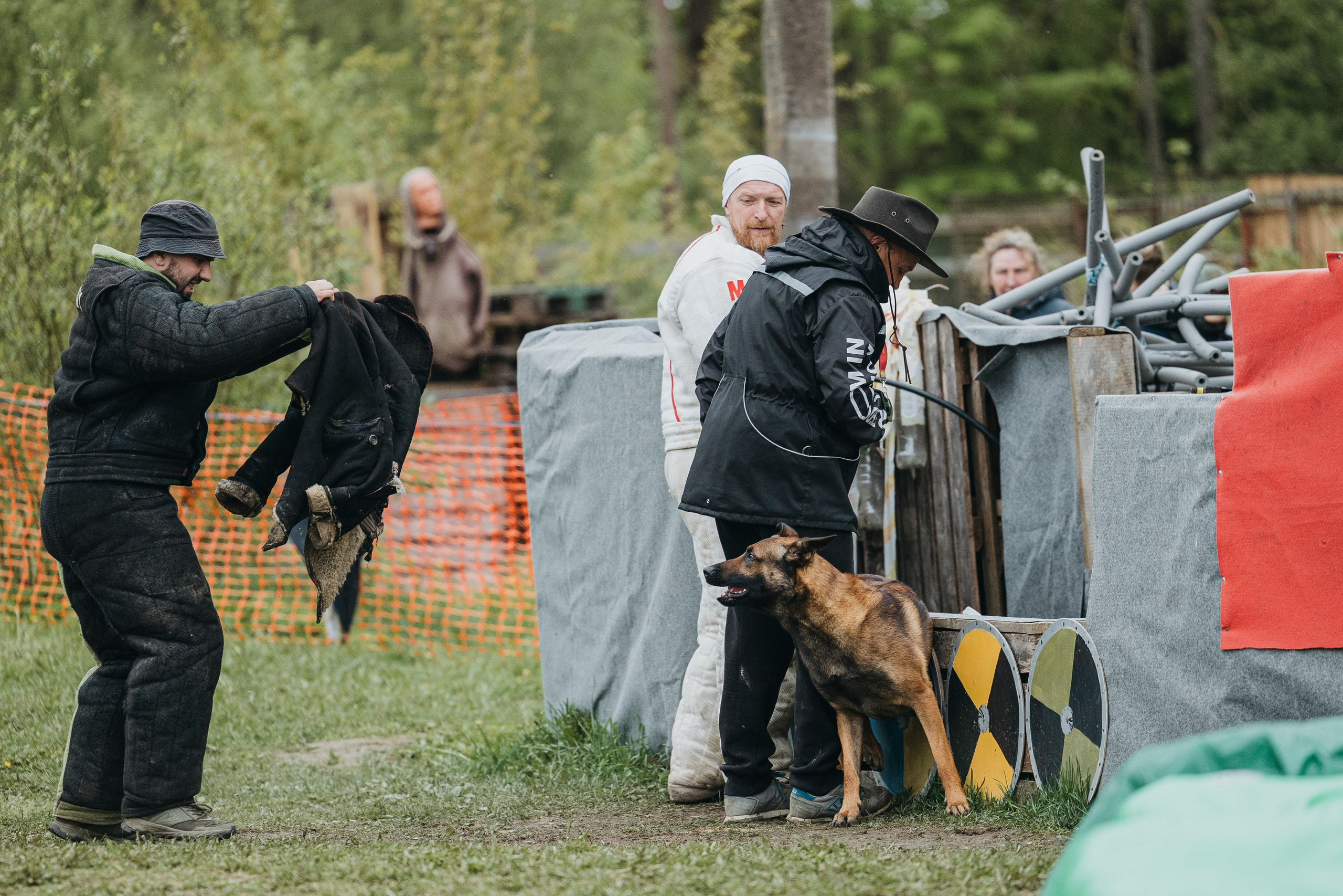 26.05.25 г. Пушкин квалификационные соревнования. Фотограф-анималист Анна Маринич