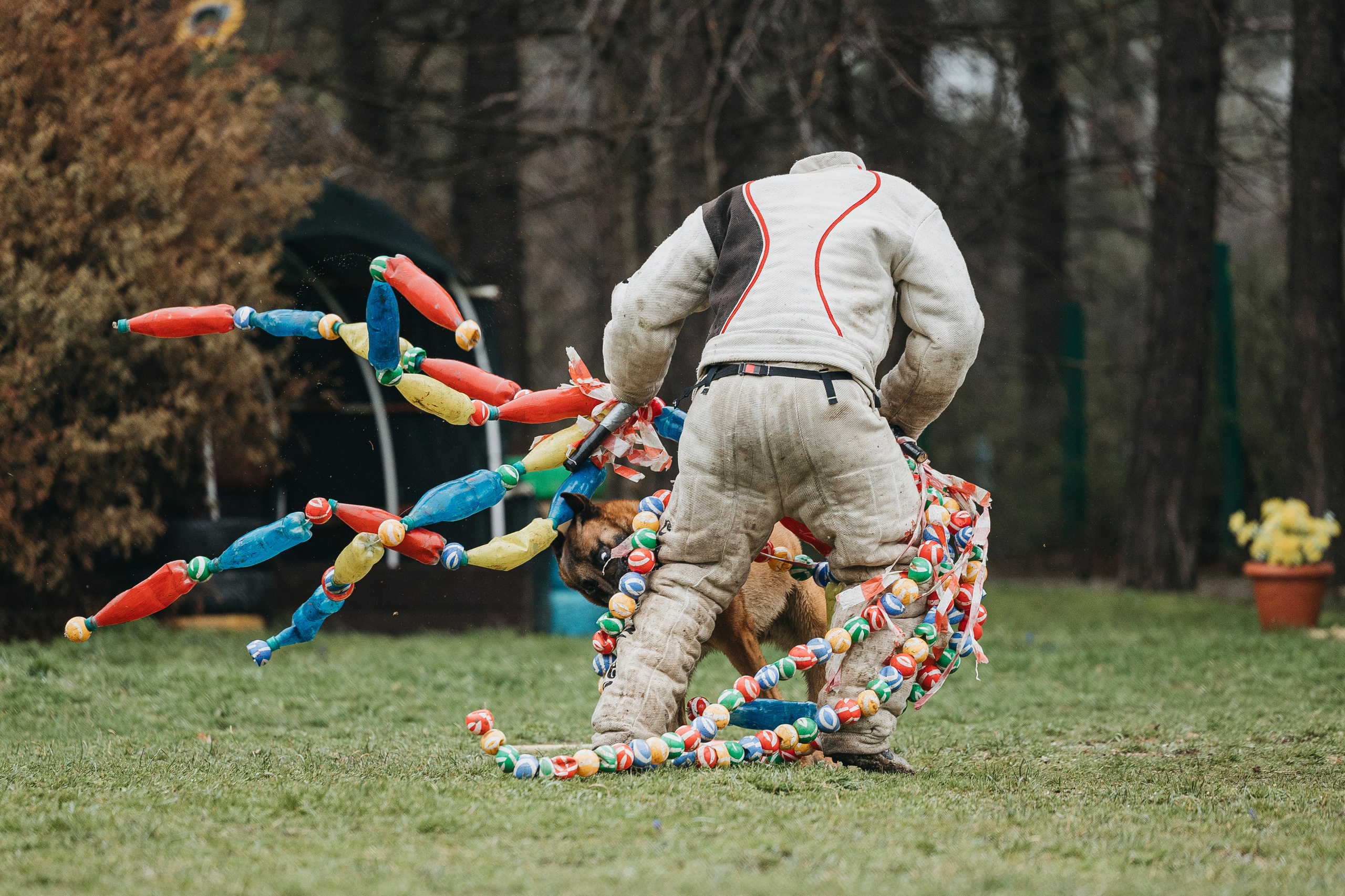 Геленджик Мондьоринг. Фотограф-анималист Анна Маринич