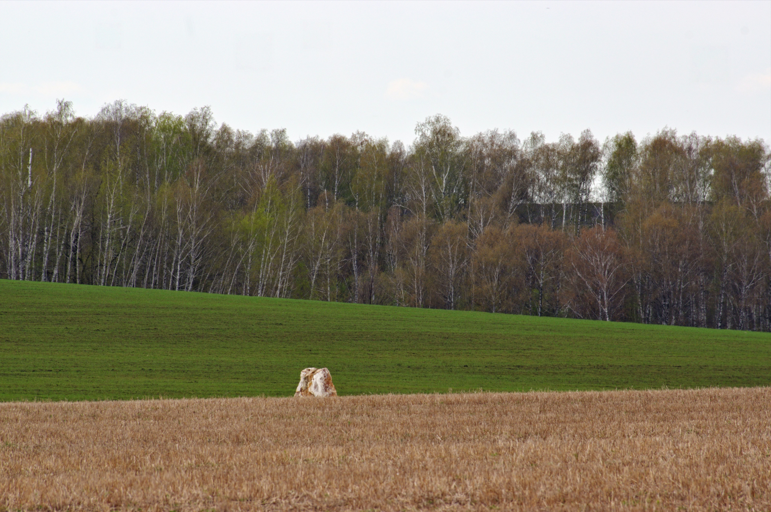 Природный парк. Вадим Шейдин