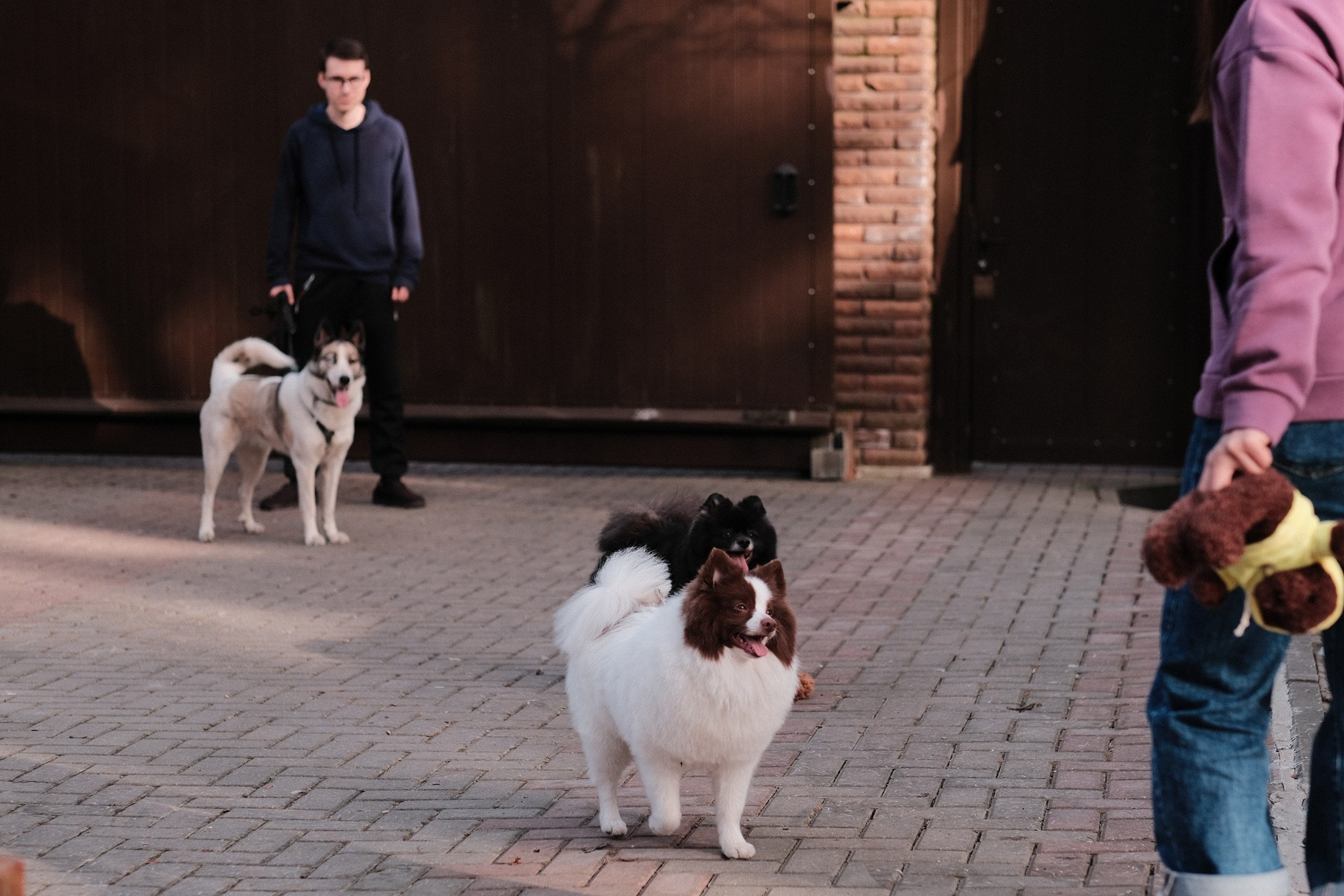 Аляска, Чарли, Пати и их люди. Дмитрий Бречалов