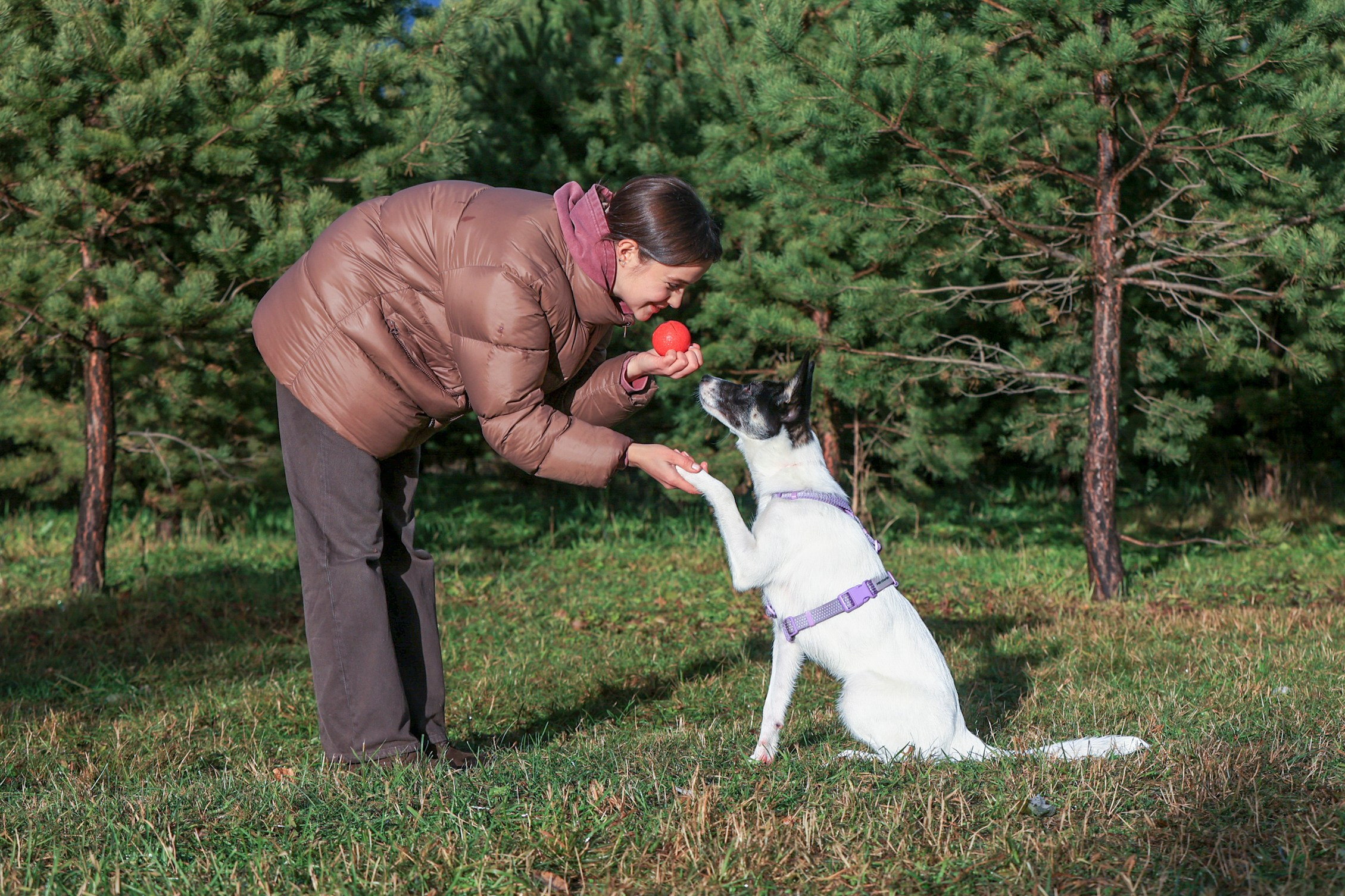 Прогулка Насти и Лилу!. Фотограф 📸 семейный, предметный, репортажный