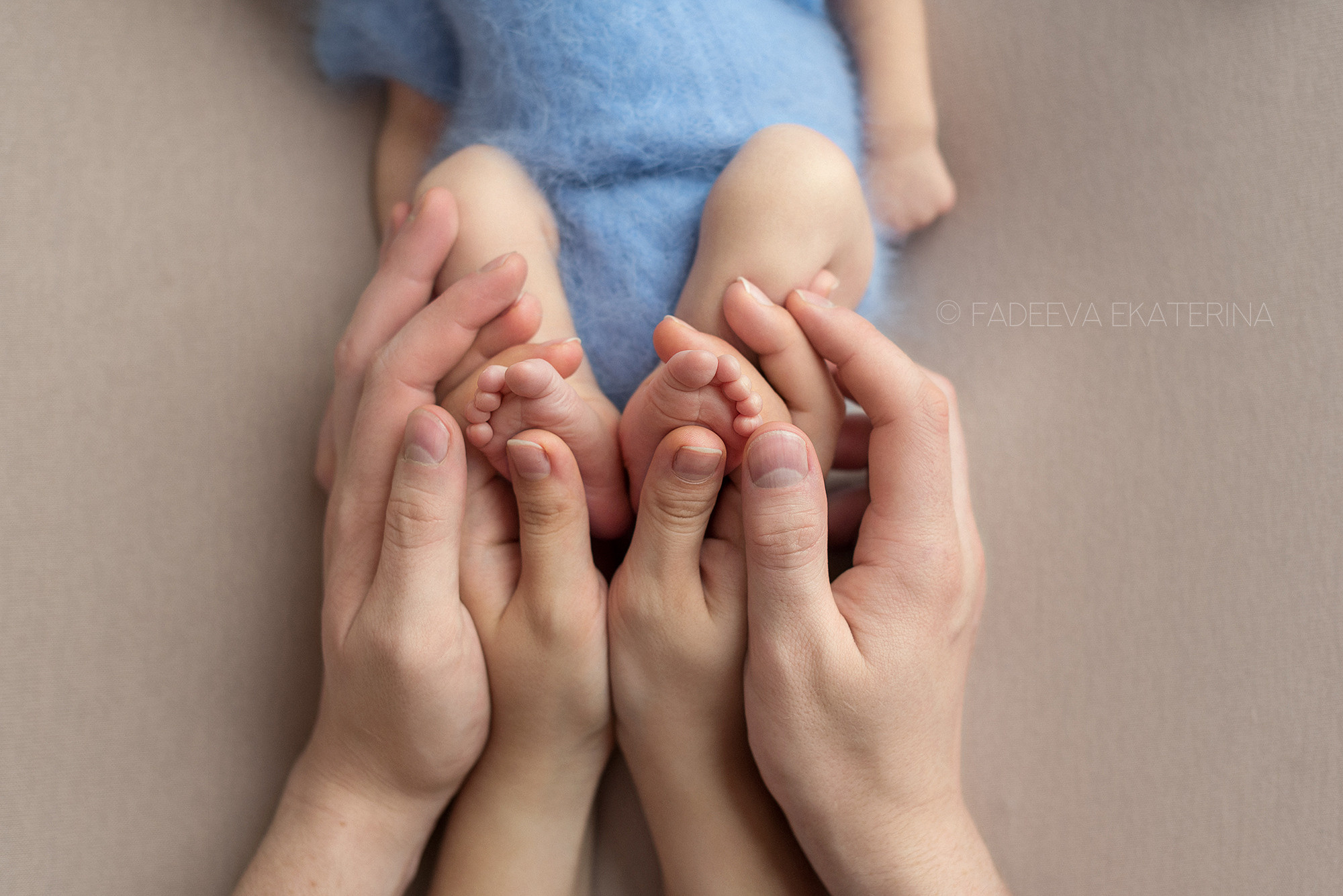 Новорожденные. Фотограф новорожденных Санкт-Петербург Екатерина Фадеева