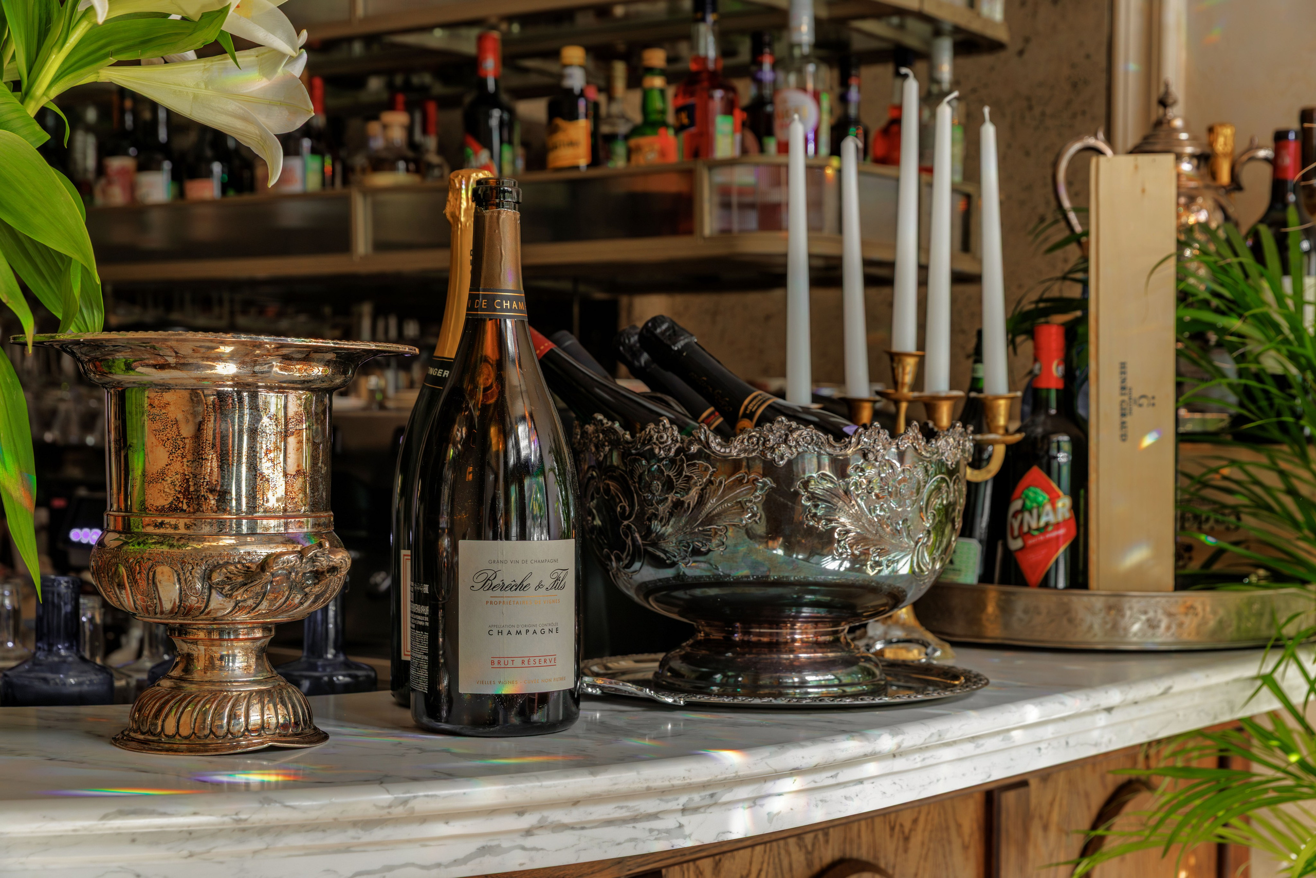 Медведь. Репортажный фотограф в Санкт-Петербурге Жолудев Владислав