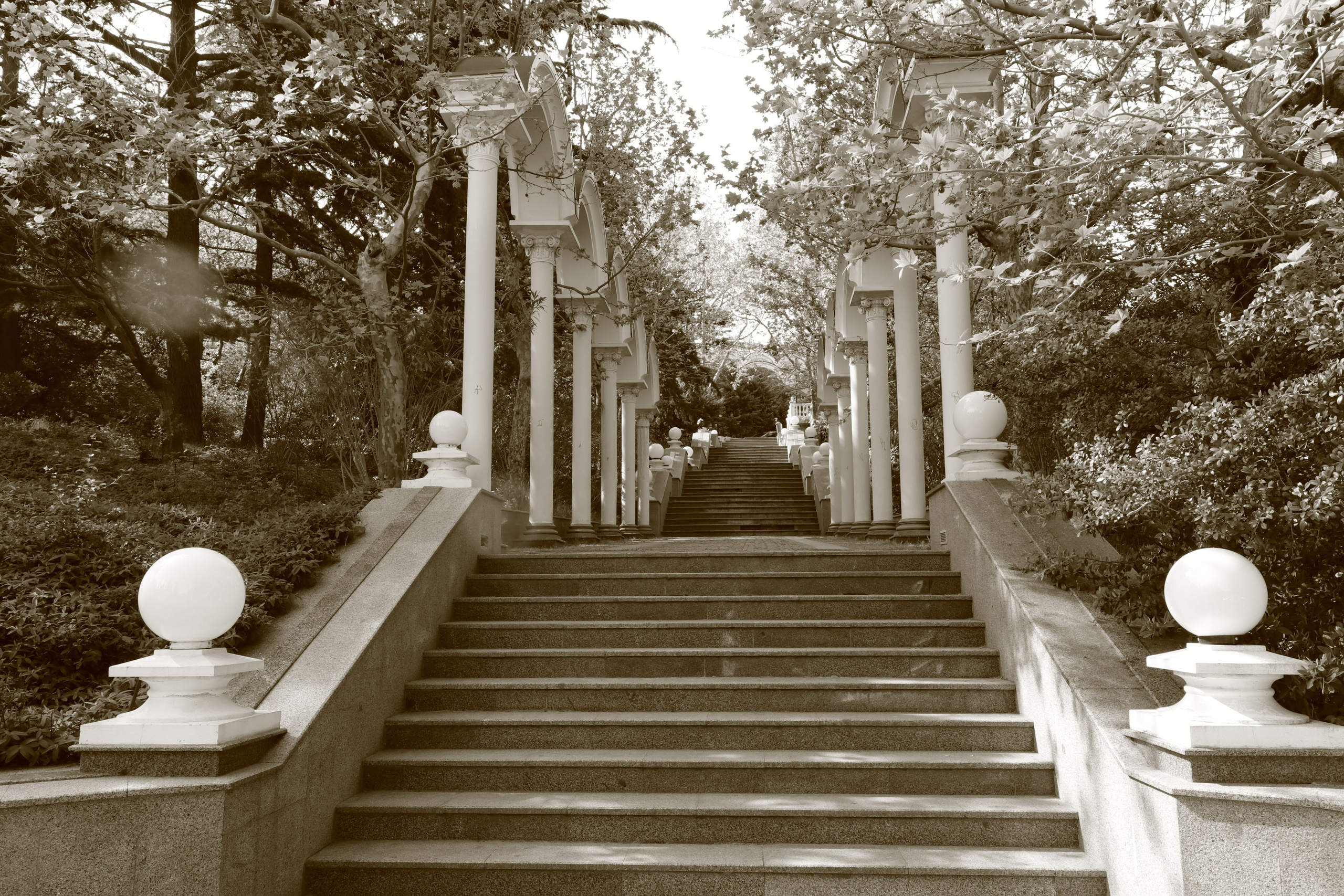 Крым. ЮБК (Севастополь, Кастрополь, Ялта). Май 2023. Путешественник-фотограф из Санкт-Петербурга Татьяна Свистулина