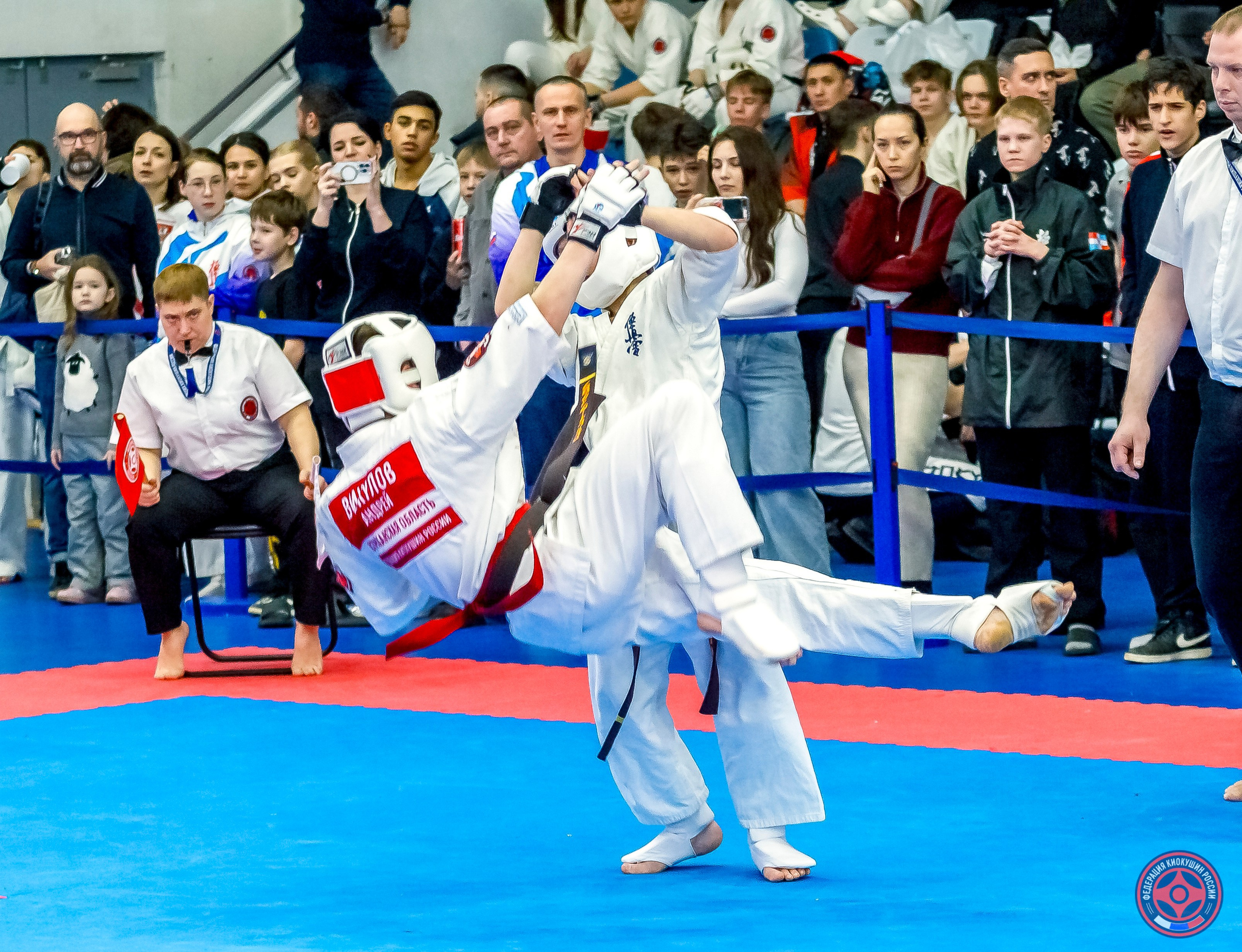 Международный турнир по киокушин «Открытый кубок Seiken». Репортажная съемка в Москве и области. Анималистика