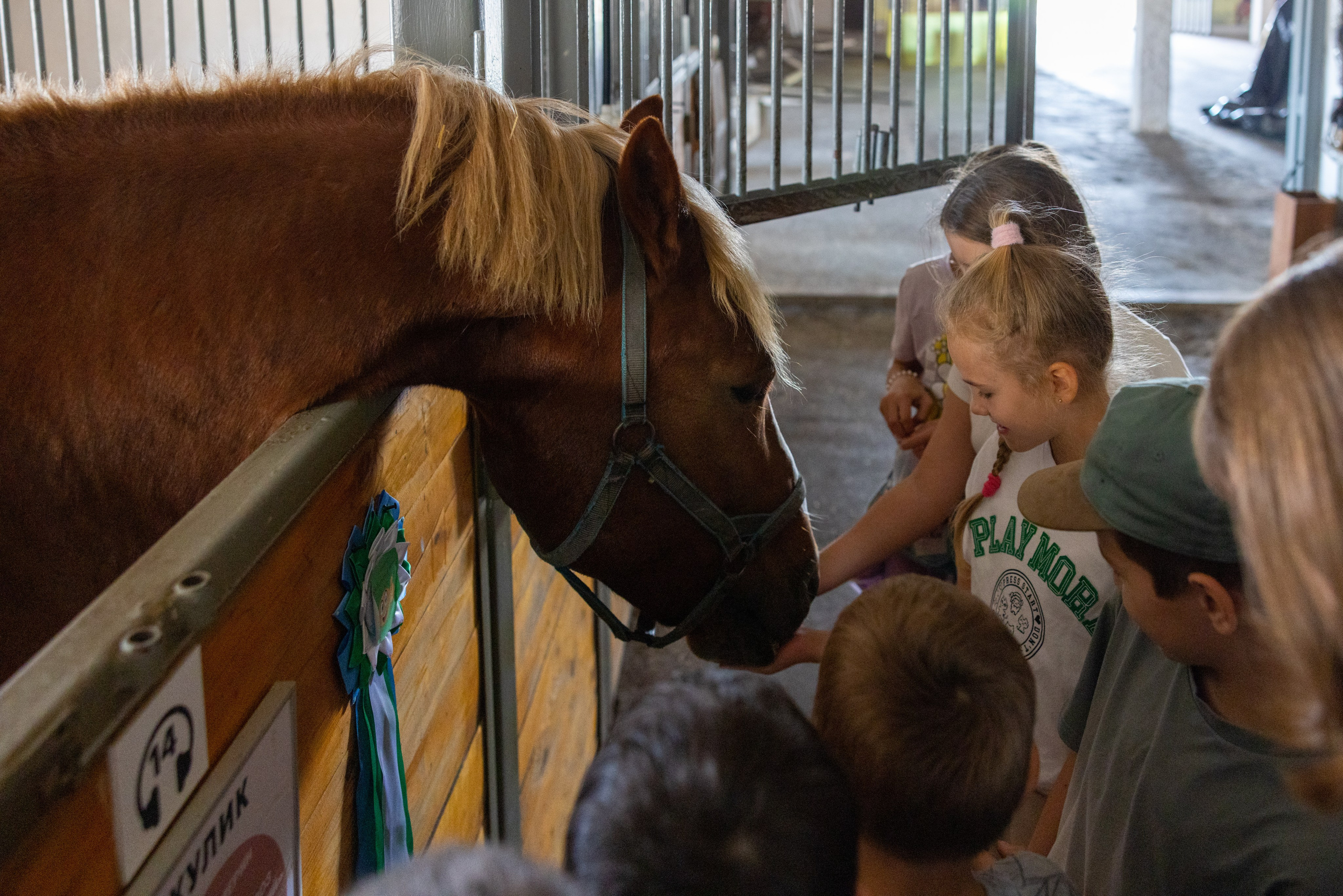 Поездка на поле Кулеково. Фотограф в Туле Крупский АнДРей. Фотостудия «КАДР71» в Туле