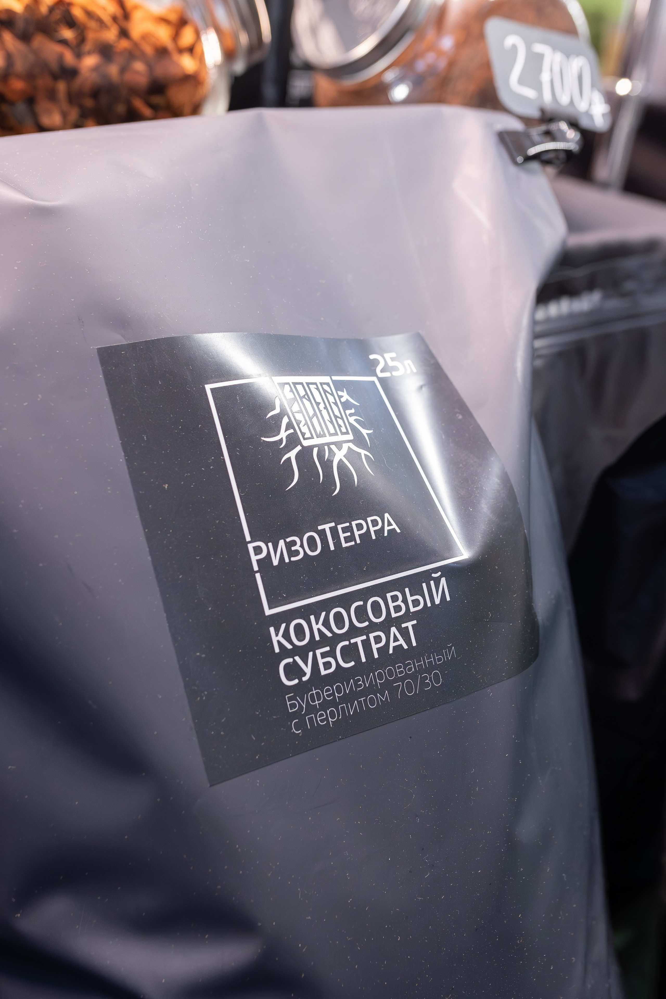 Орхидиум 12.2025. Александра Куликова фотограф, Москва