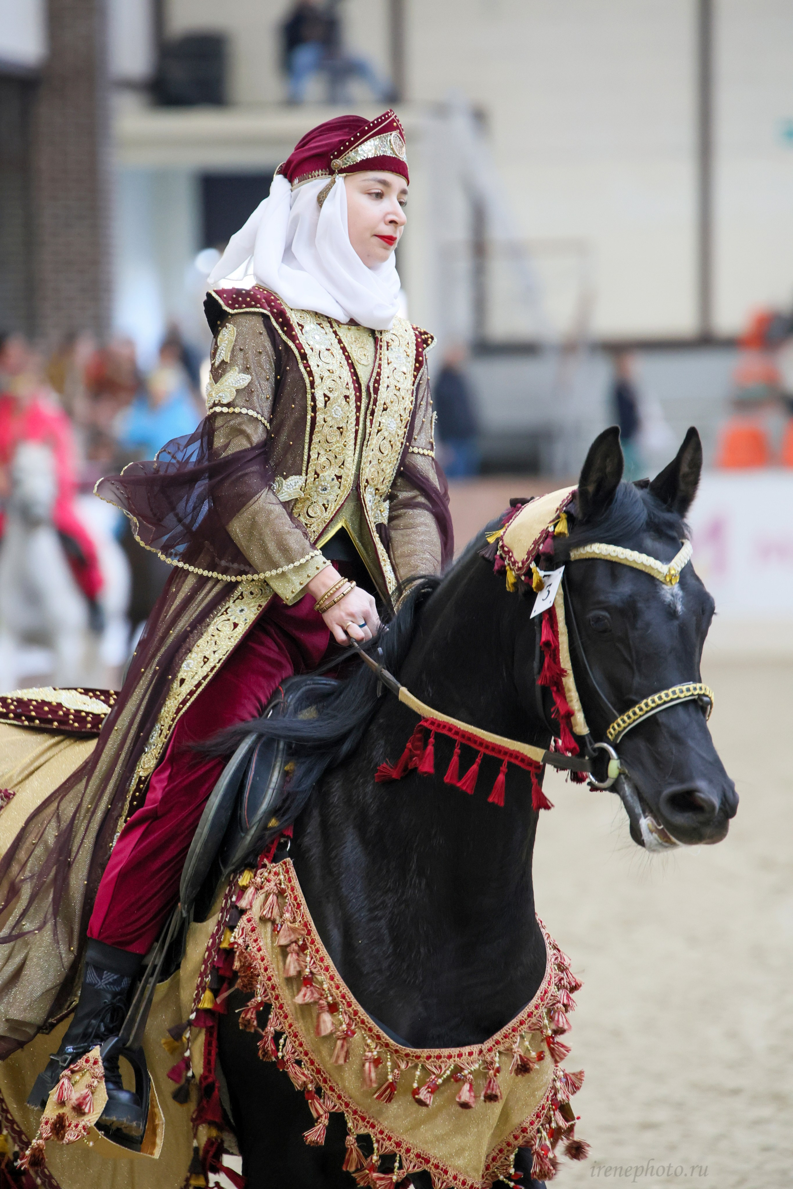 Конная Россия 2024. Irenephoto.ru