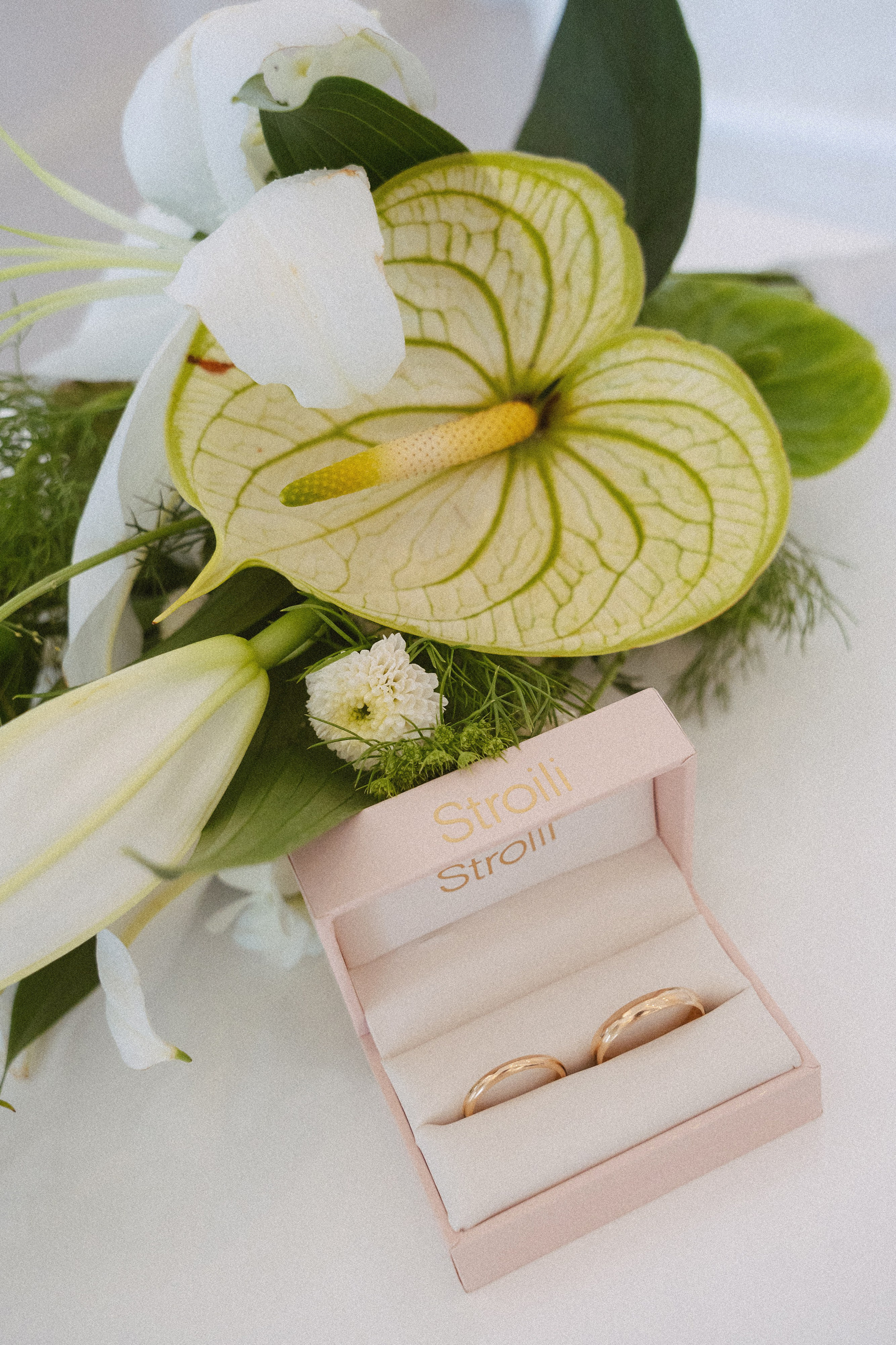 В&B Прогулка + ЗАГС. Свадебный, репортажный, семейный фотограф Елена Брюхова