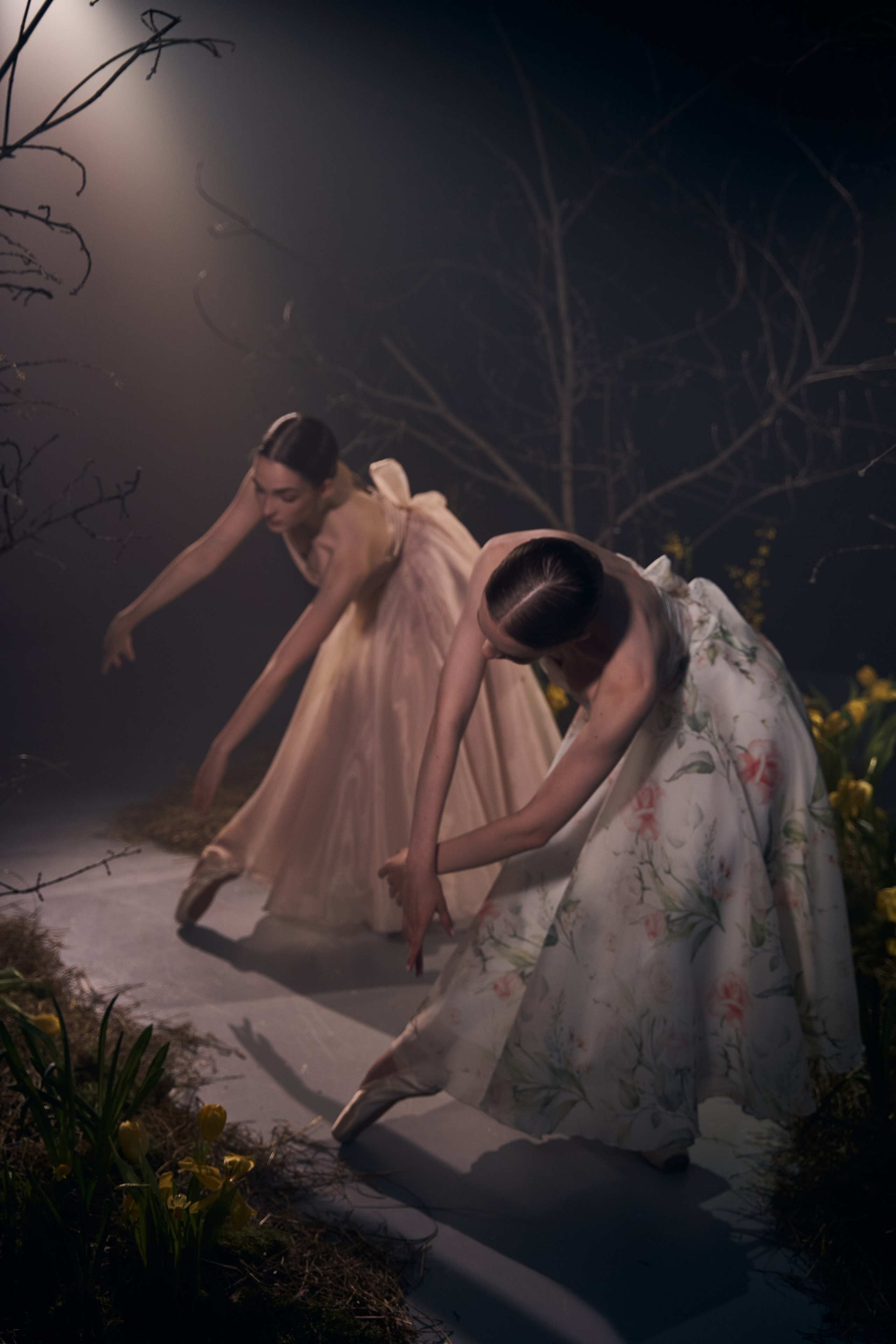 Балерины. Репортажный и свадебный фотограф Роман Яшкильдин
