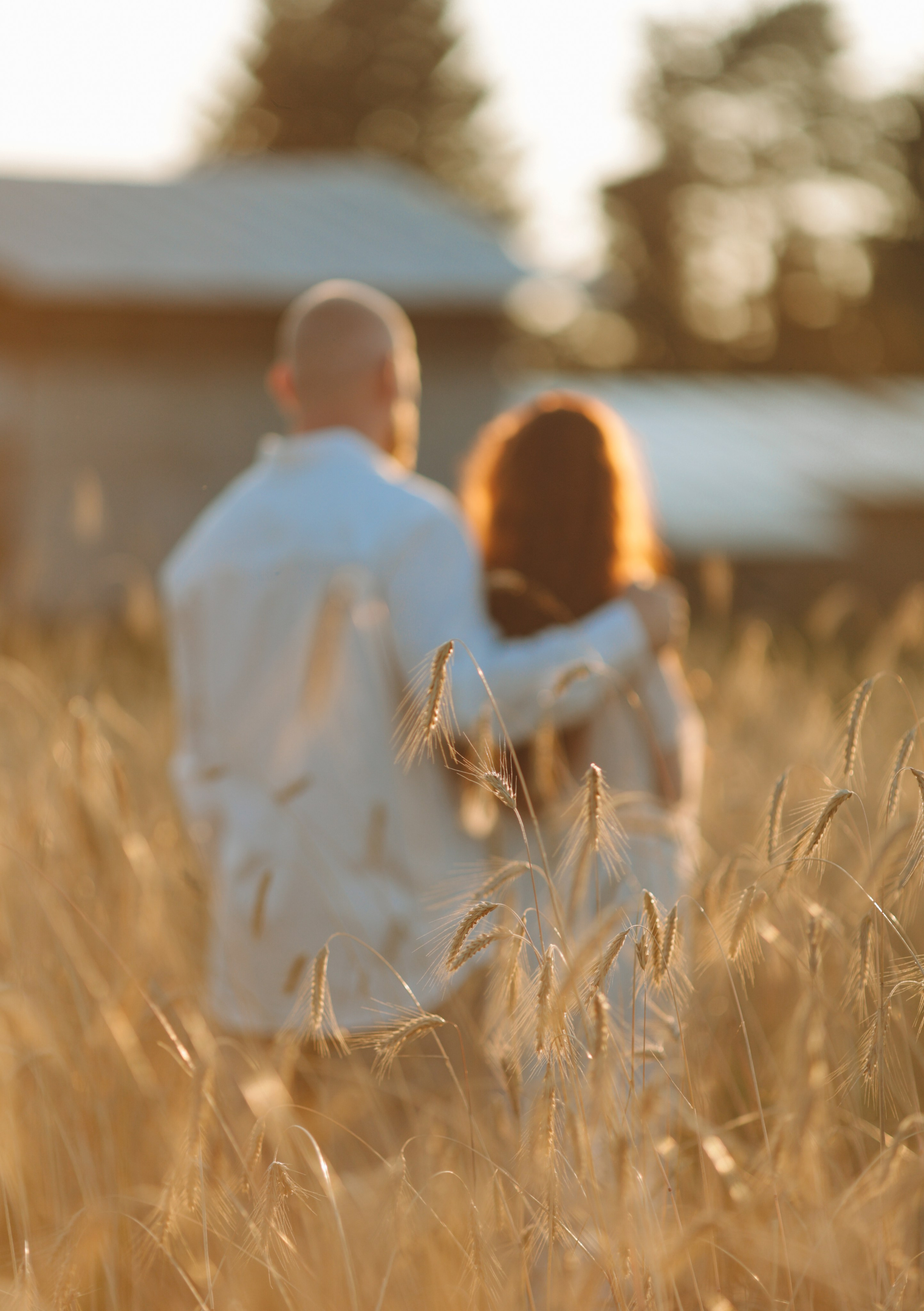 Фотосессия lovestory во ржи. Фотограф Варвара Ермоленко