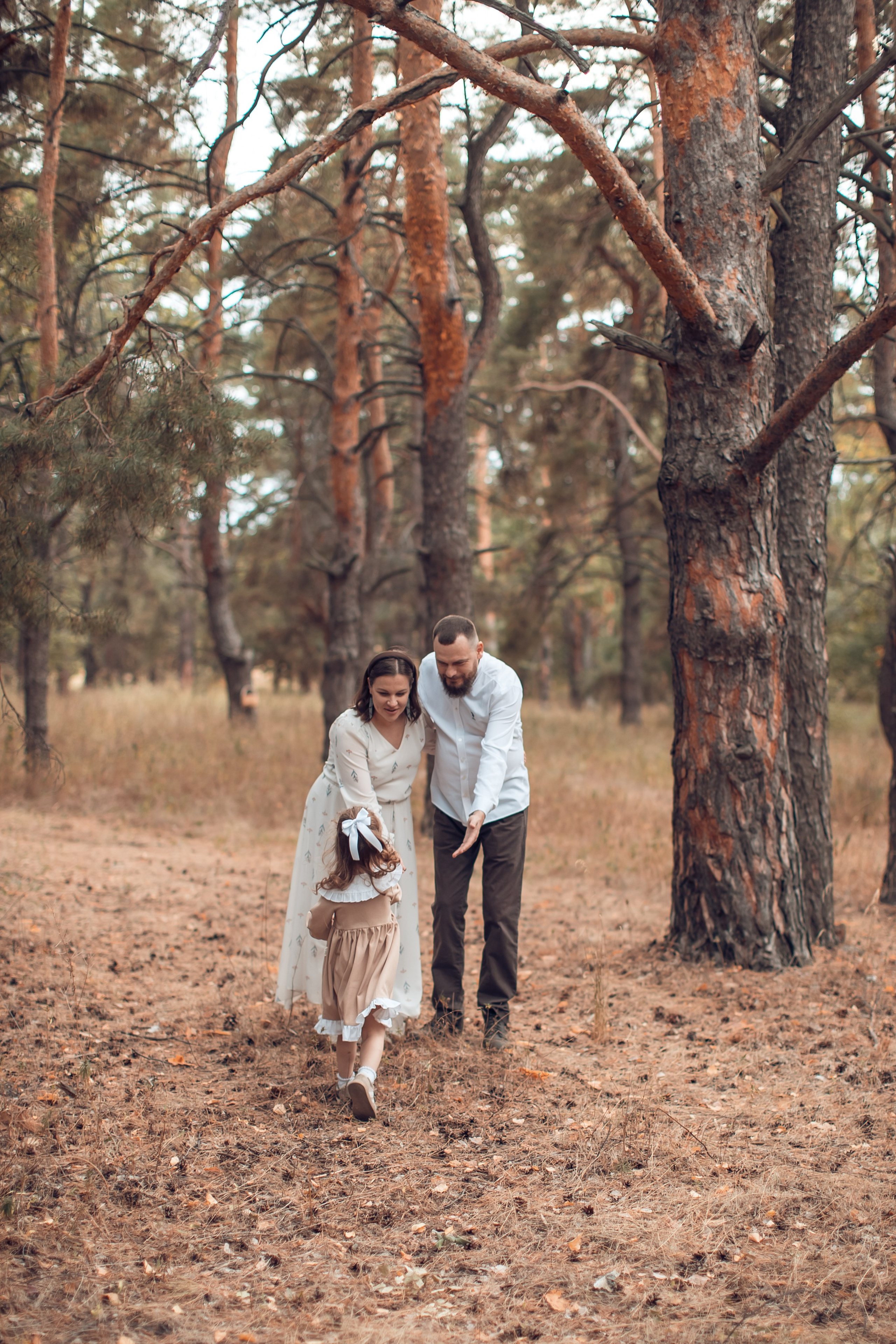 Прогулка в Широком. Главная