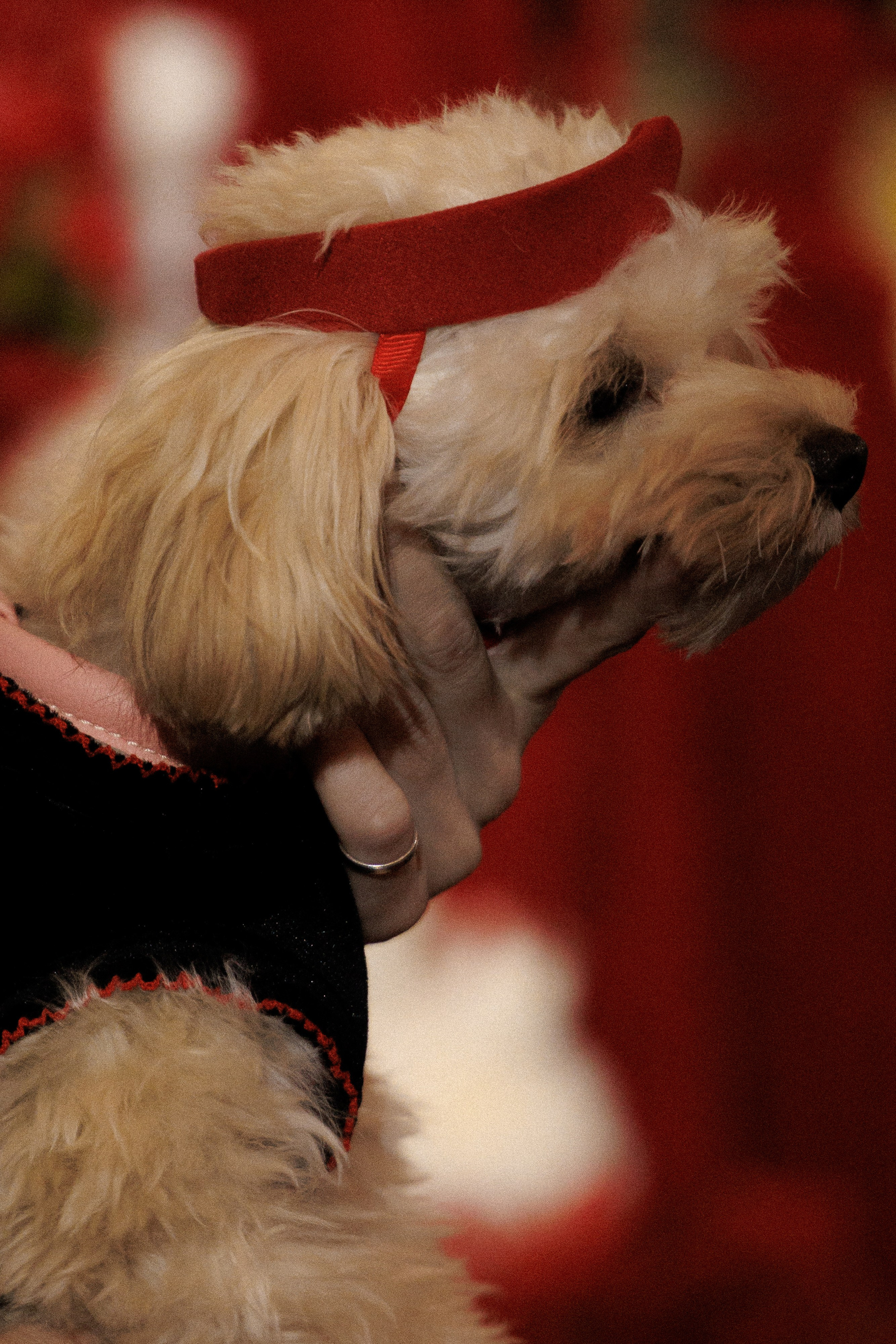 AIR IN PARTY AWARDS 2025. Свадебный и event-фотограф Иван Волнухин