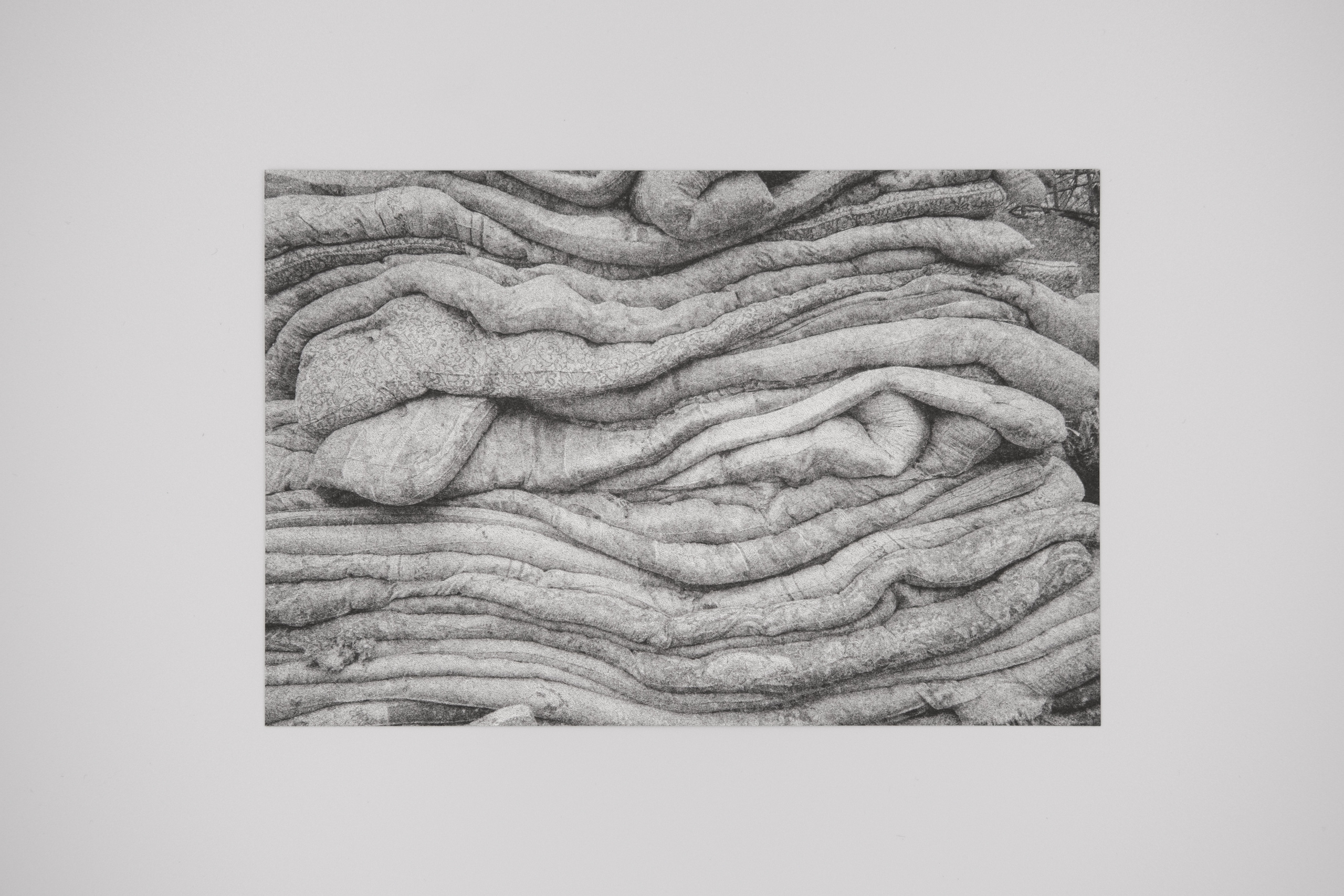 Prints. Nasti Davydova