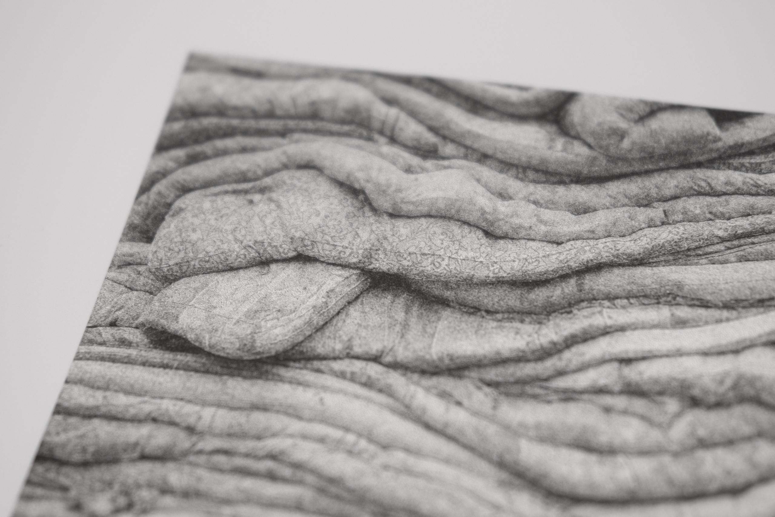 Prints. Nasti Davydova