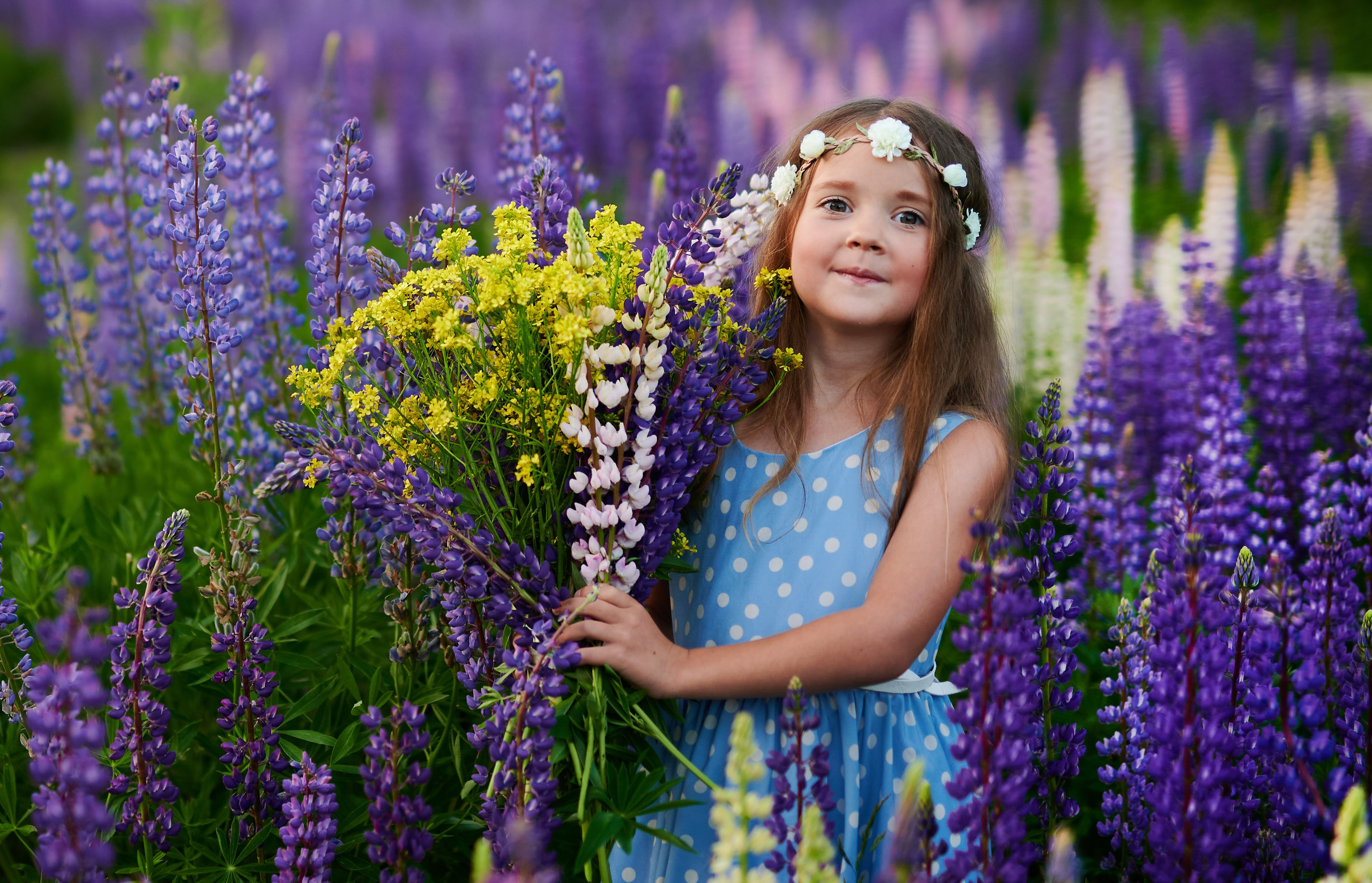 Счастье в люпинах. Портретный, семейный и свадебный фотограф в Санкт-Петербурге и в Пушкине Ширяев Денис