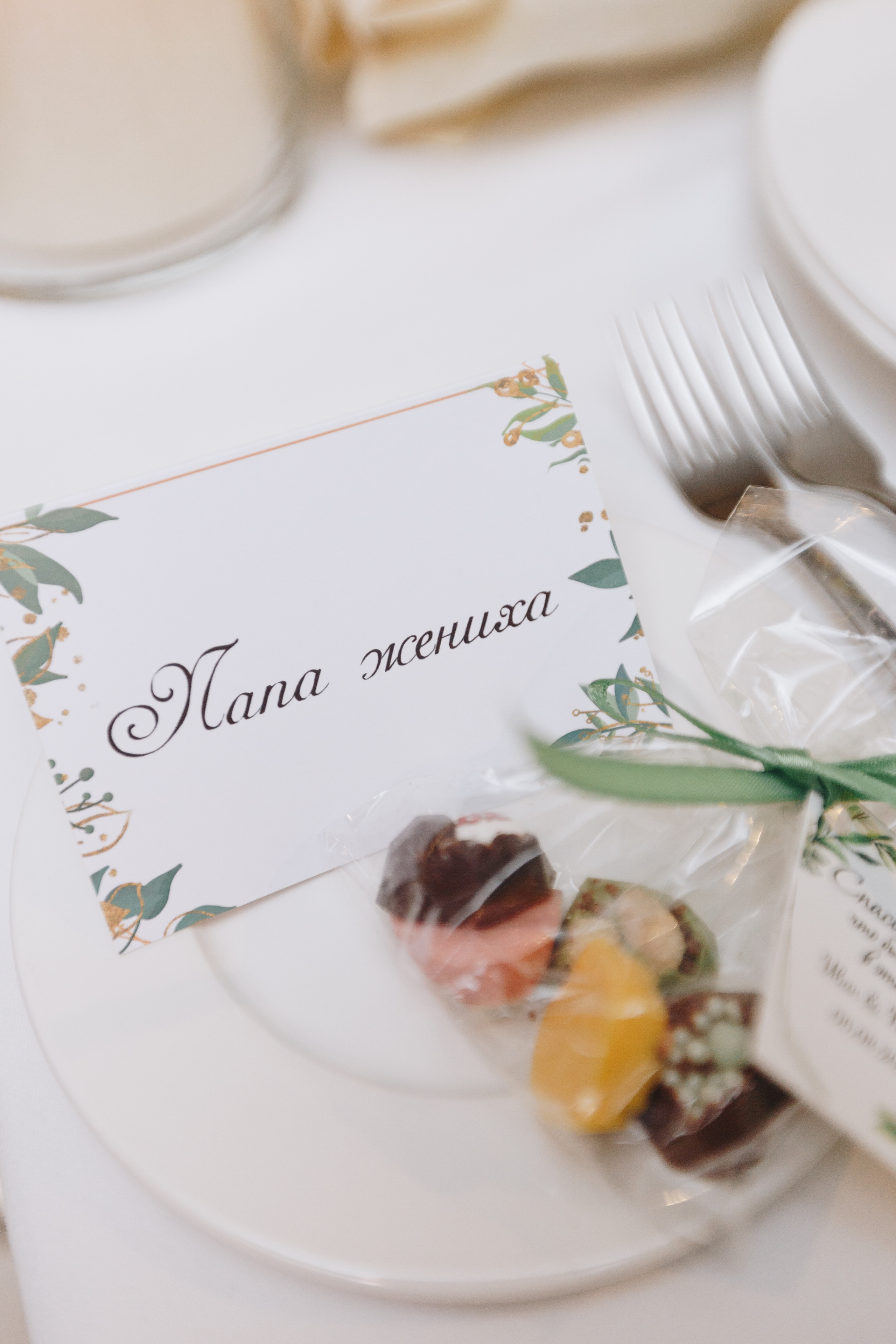 T+V. Свадебный семейный фотограф и видеограф Гомель Минск Беларусь Европа