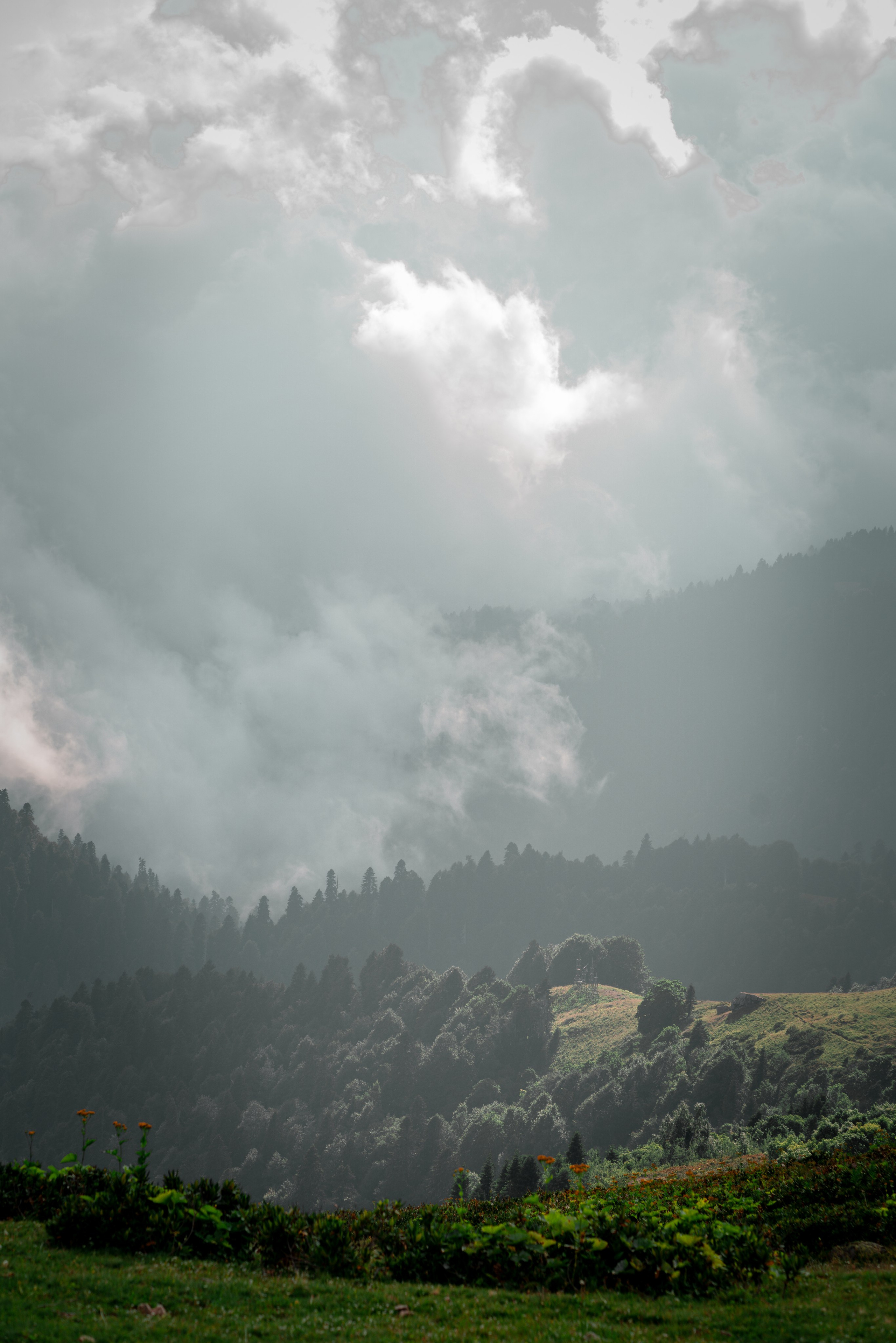 Сочи. Фотограф Александра Волкова | Волгоград