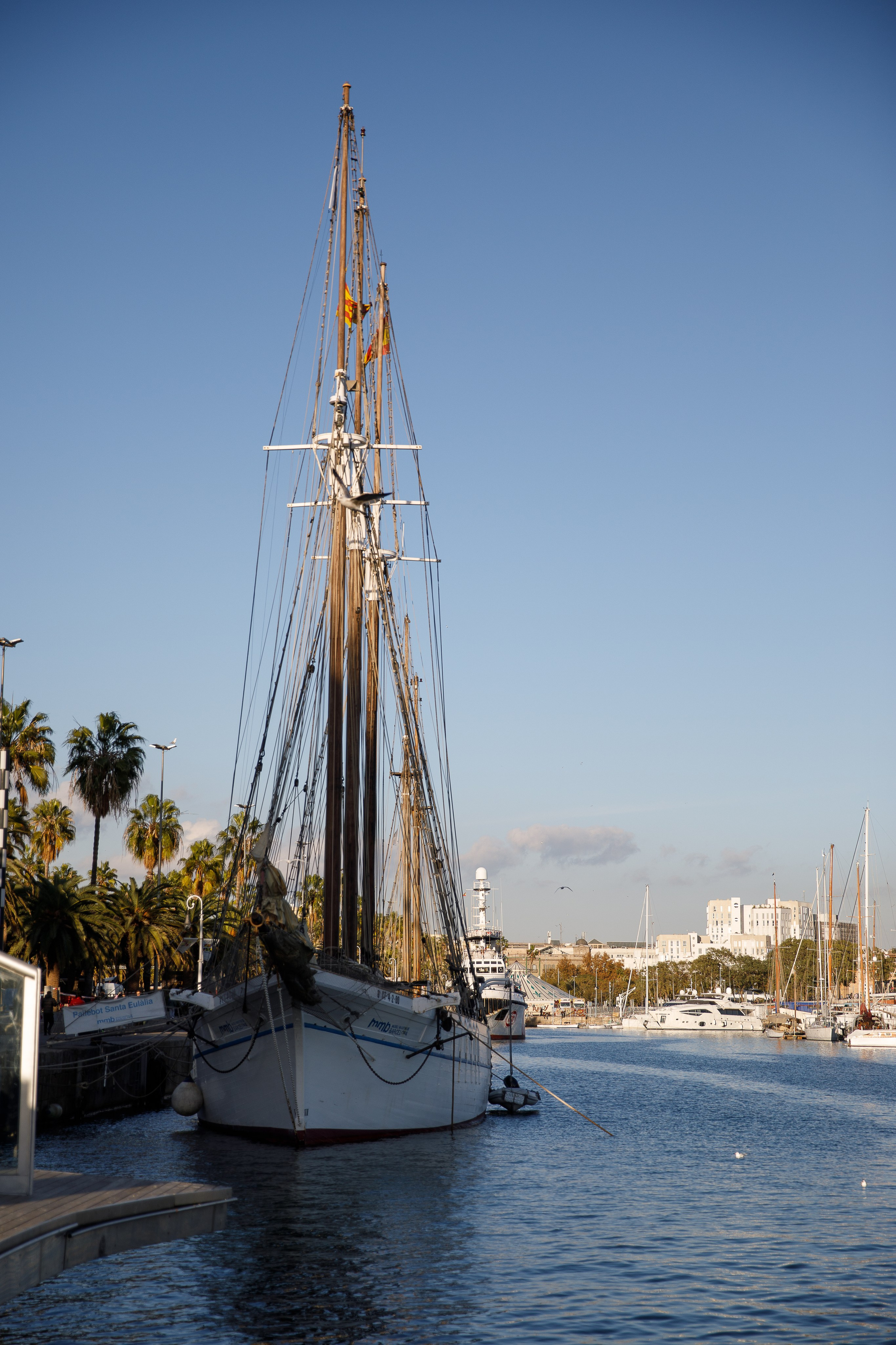 Барселона. Репортажный и портретный фотограф Русакова Жанна