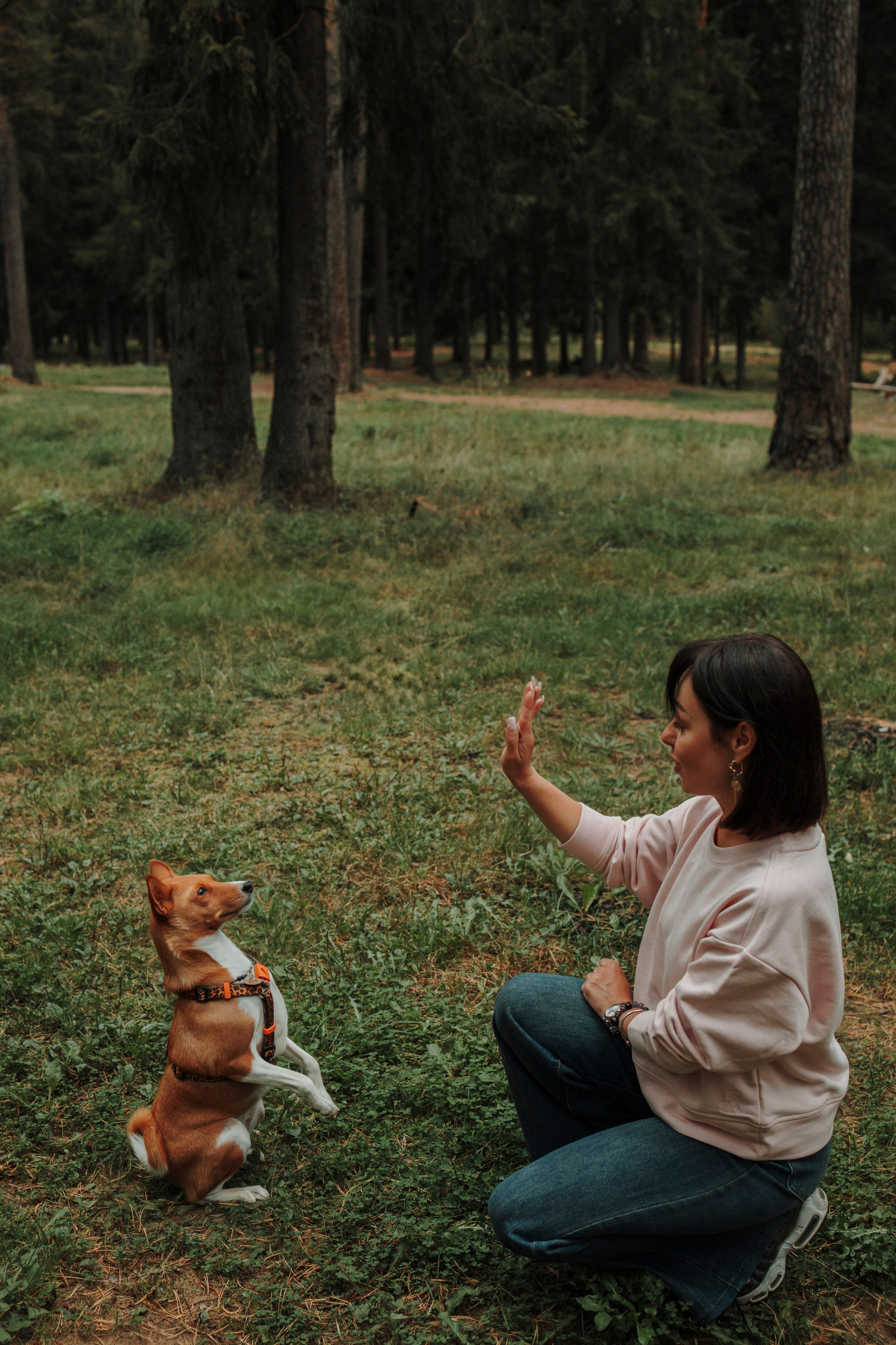 Даша и Лора. Фотограф-анималист в Санкт-Петеребурге Титова Алиса
