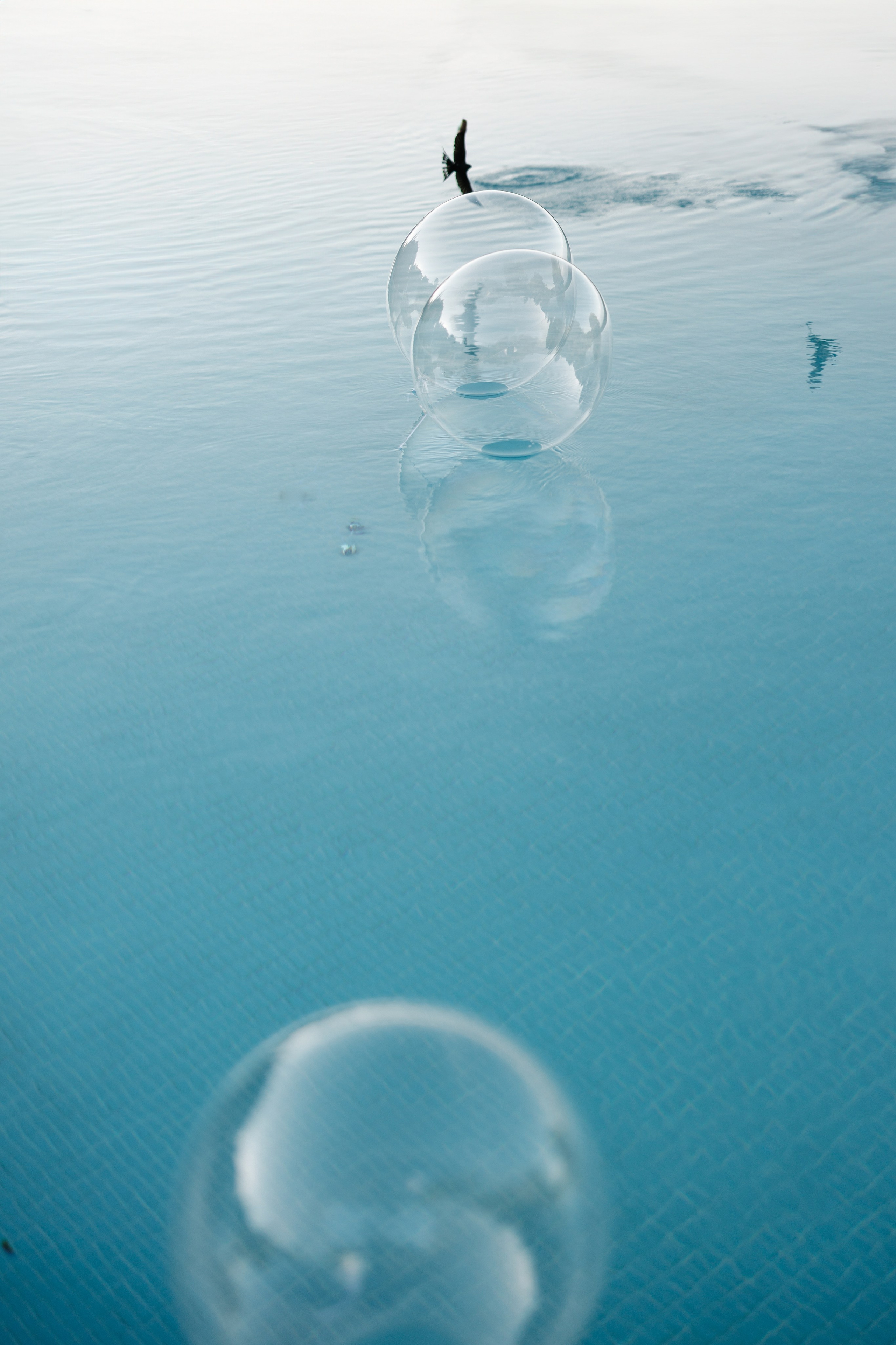 Для конкурса. Свадебный фотограф Москва Мотеюнайте Виктория