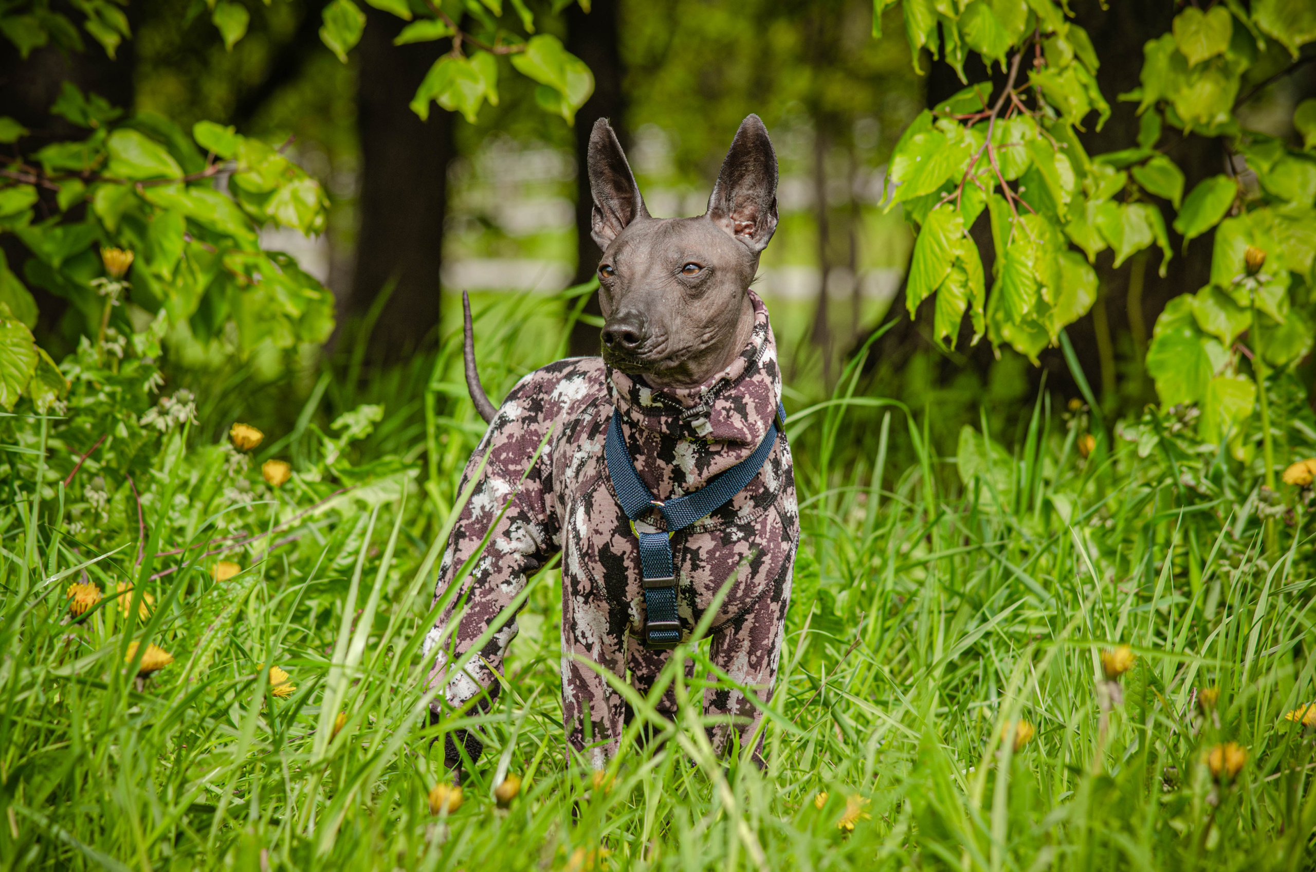 Сёма. Фотограф Светлана Блинова, Москва и Московская область