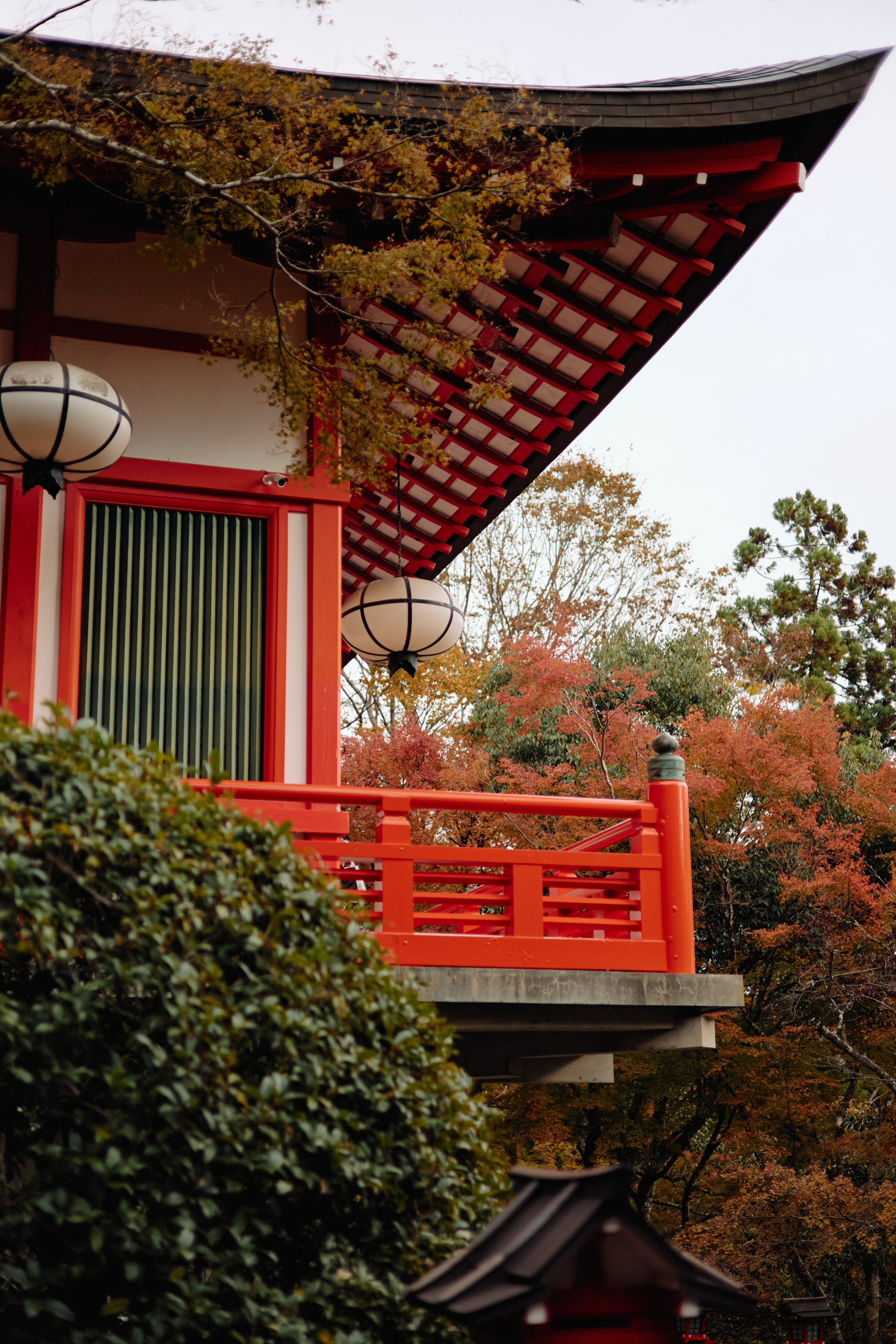 Япония. Профессиональный Фотограф во Владимире, в Москве и в Суздале — Полина Романычева