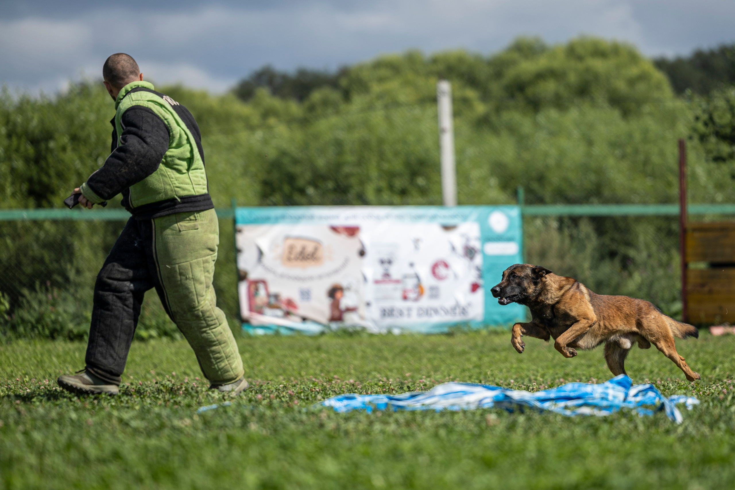 Соревнования по Мондьорингу г. Вологда 10-11.08.2024. Фотограф-анималист Анна Маринич
