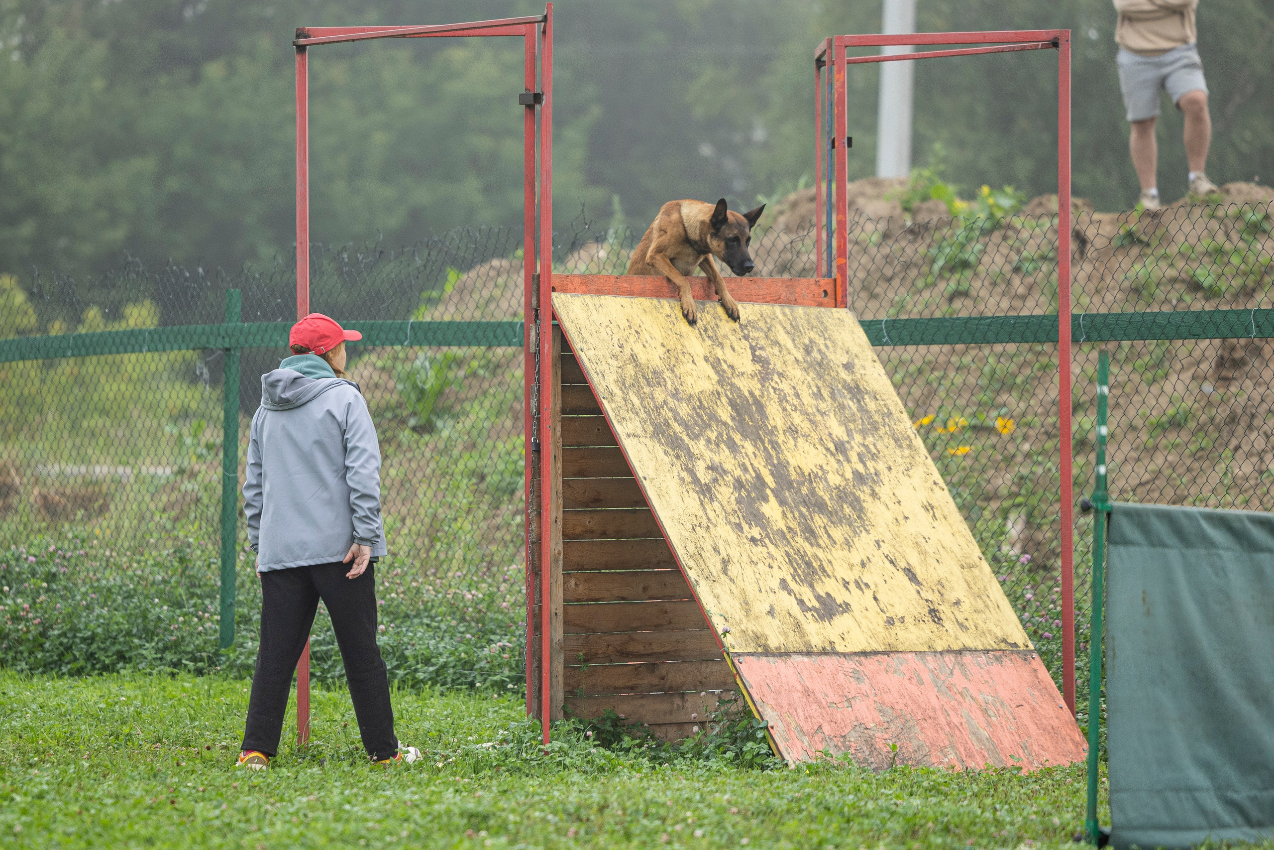 Соревнования по Мондьорингу г. Вологда 10-11.08.2024. Фотограф-анималист Анна Маринич
