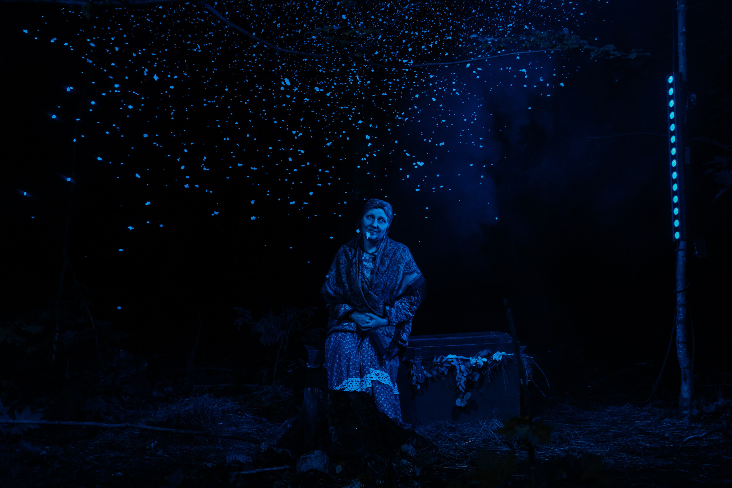 Иммерсивное шоу «Пушкин.Суйда» 2024. Свадебный и репортажный фотограф в Санкт-Петербурге