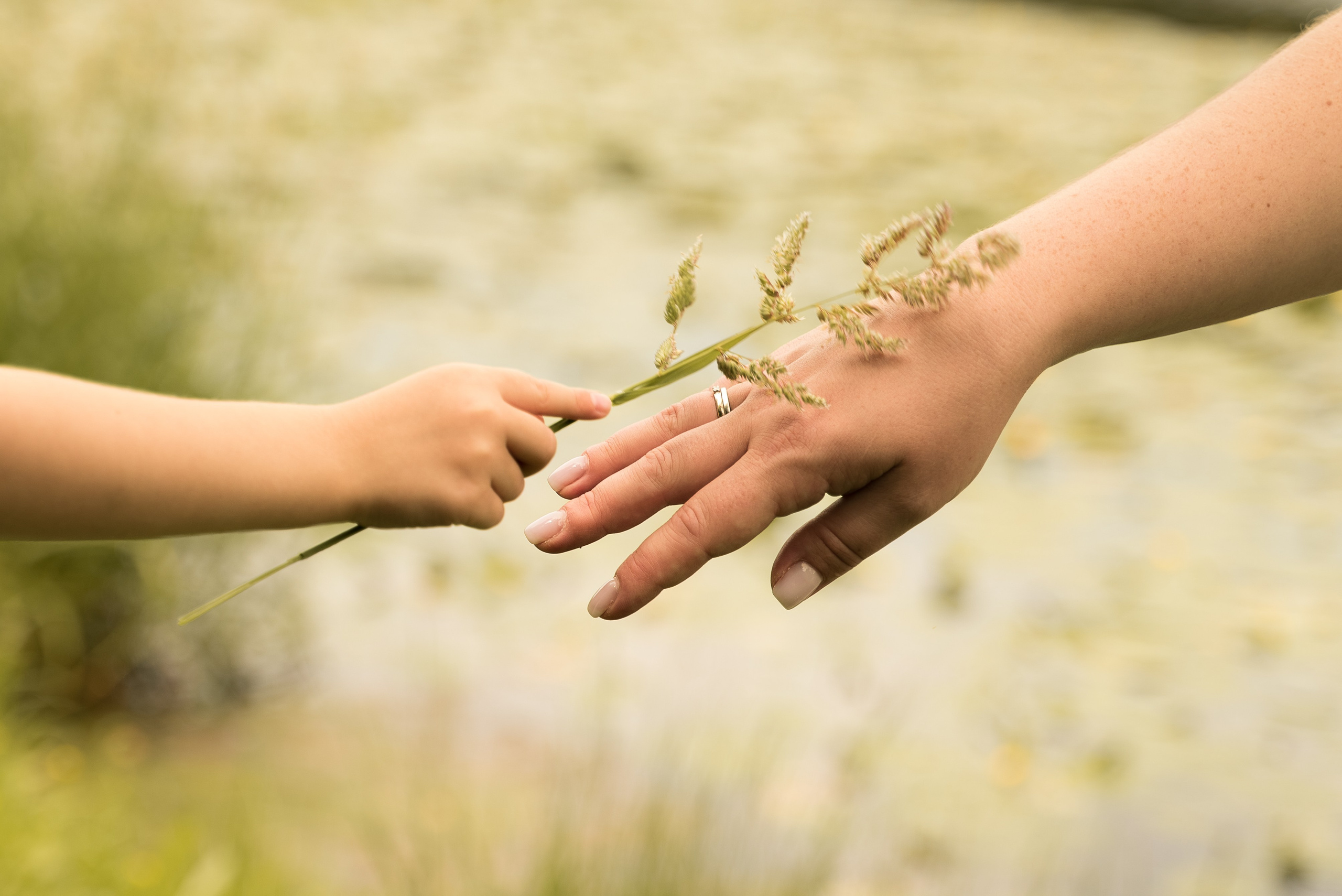 Варвара и Аврора. Фотограф Ксения Огородова портфолио