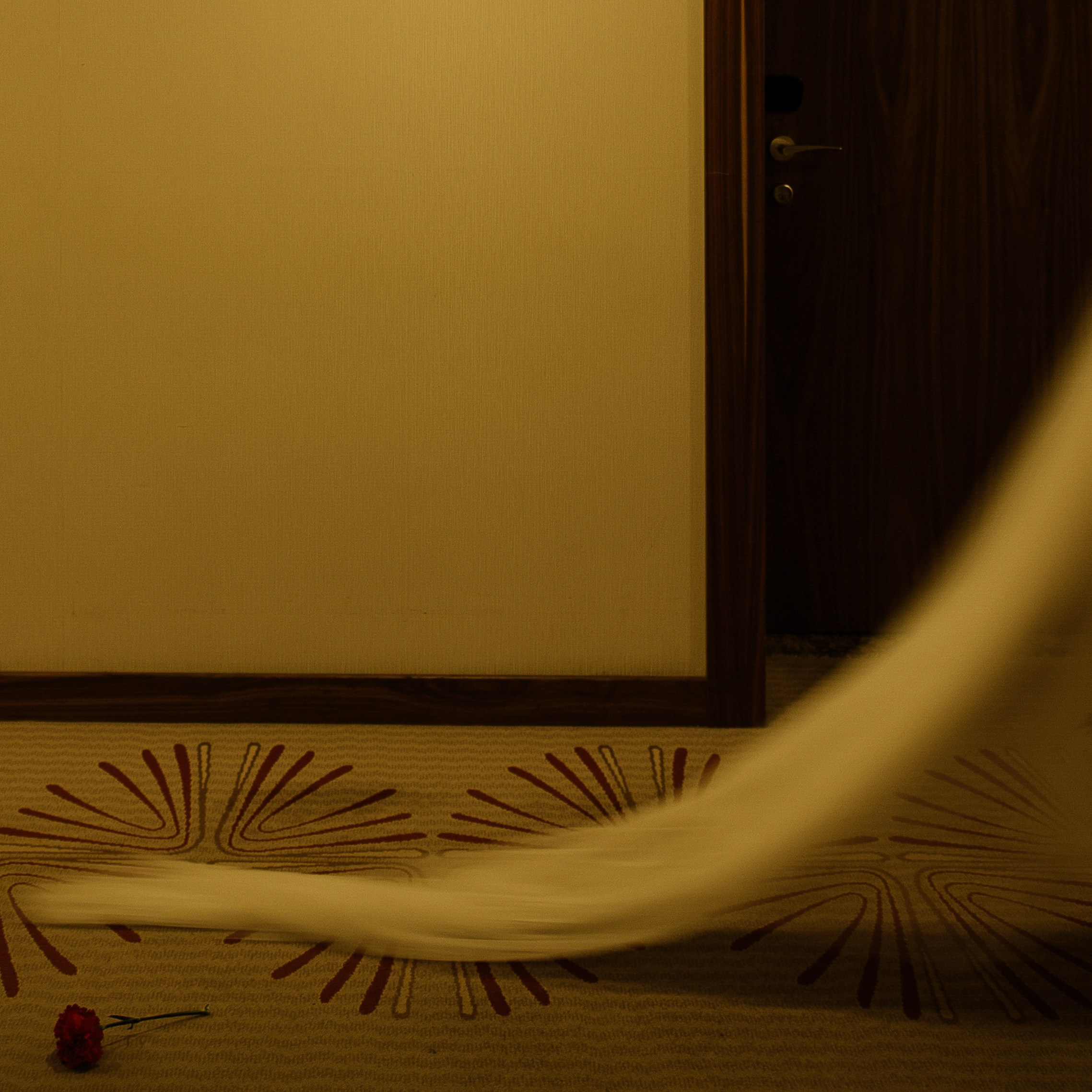 Gucci colors. Свадебный фотограф Саша Базенко