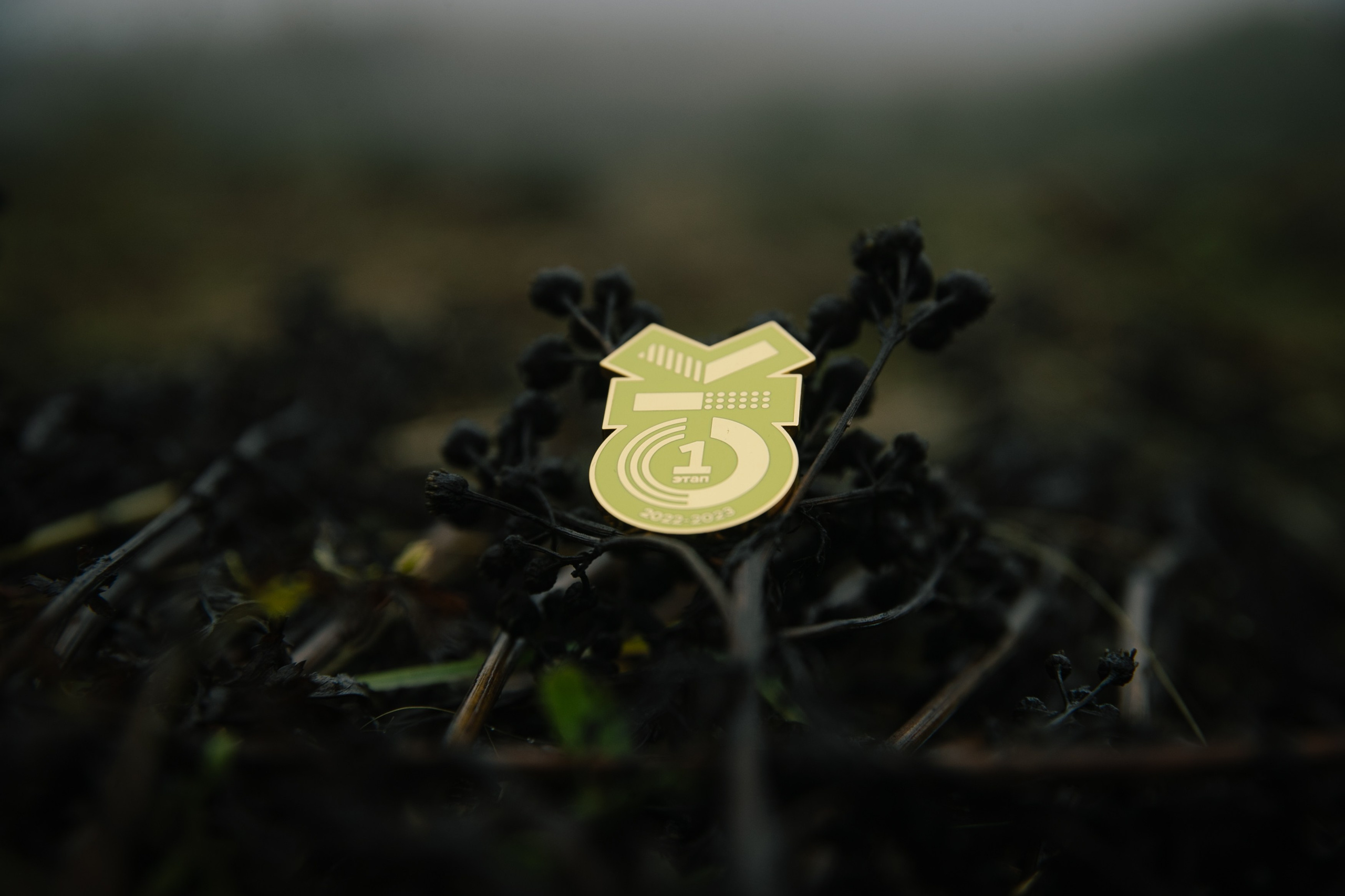 Фотограф Светлана Дмитриева