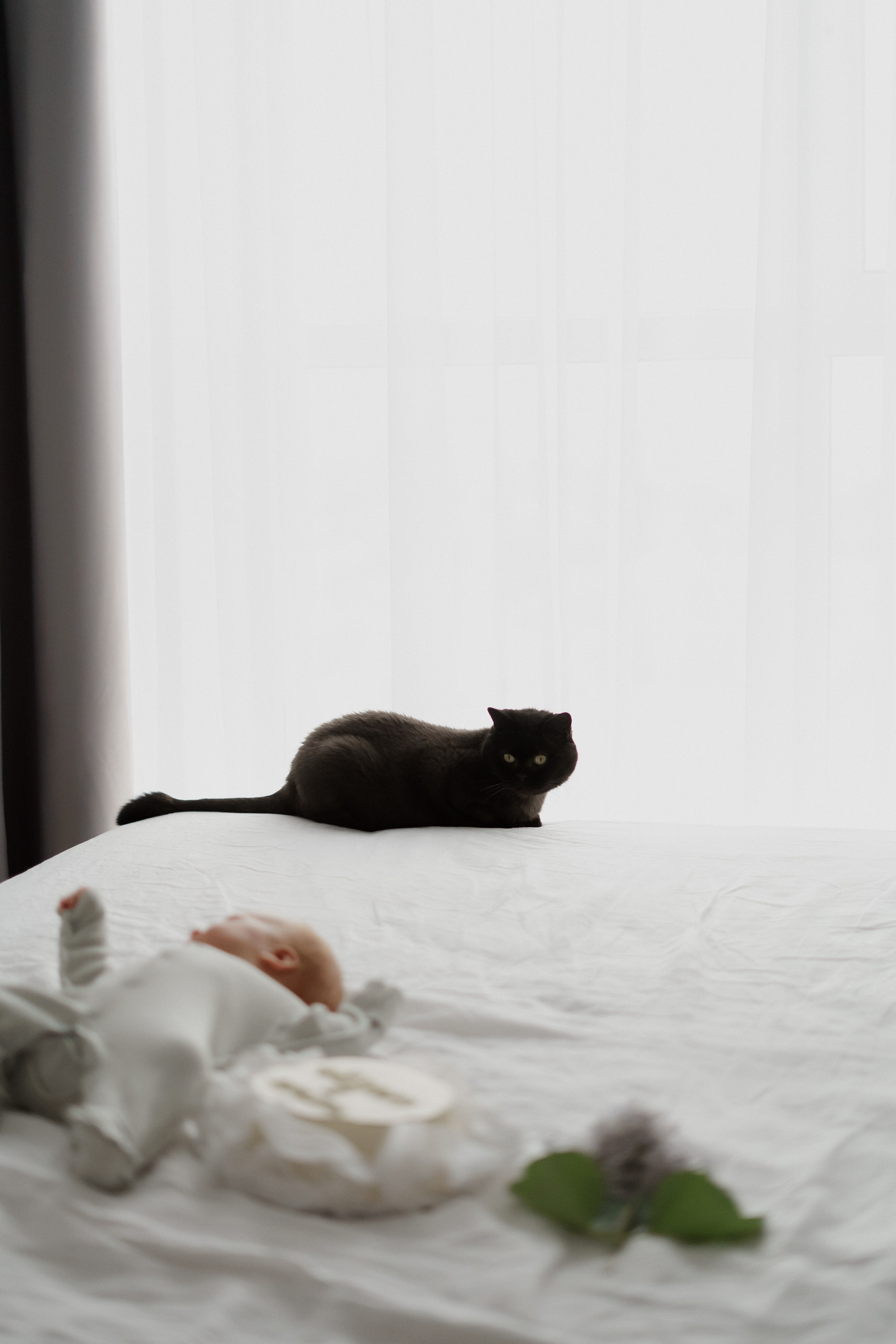 Паша рая федор. Фотограф Валерия Крахмалева