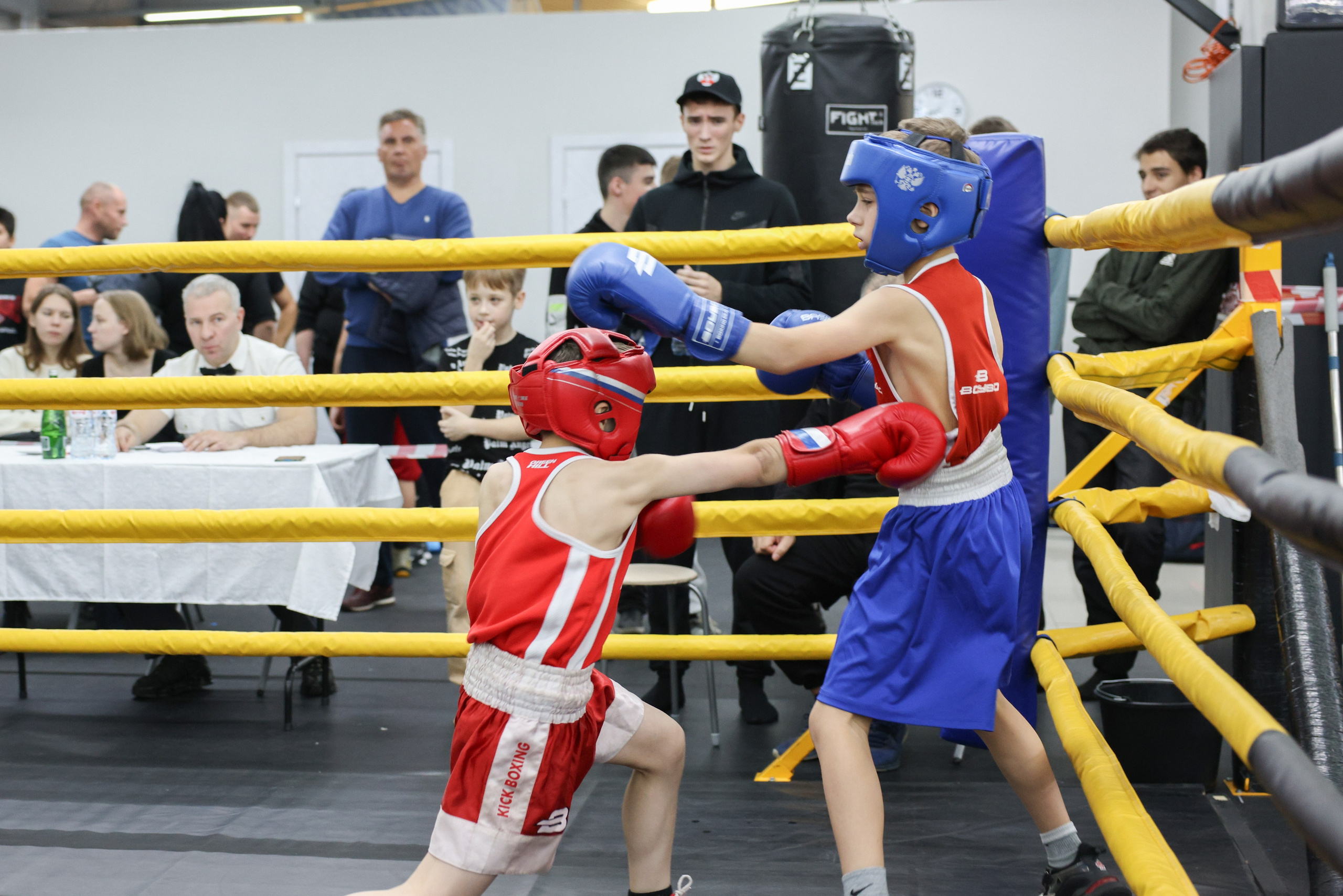 Открытый ринг «кубок ООО «ТЭК НеваСпецТяж». Фотограф Александр Заломаев