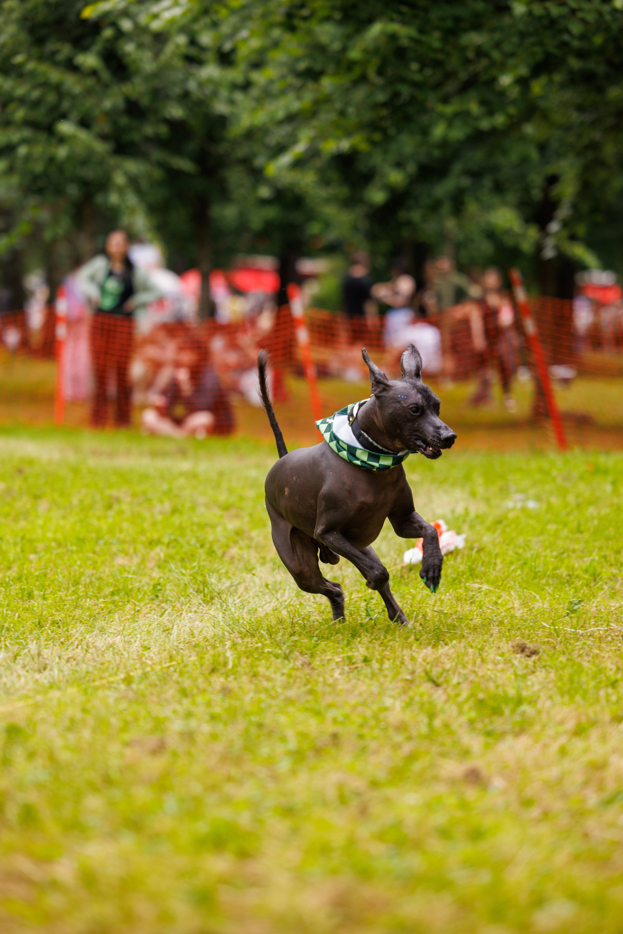 PetShopDays2026. Фотограф Александр Заломаев