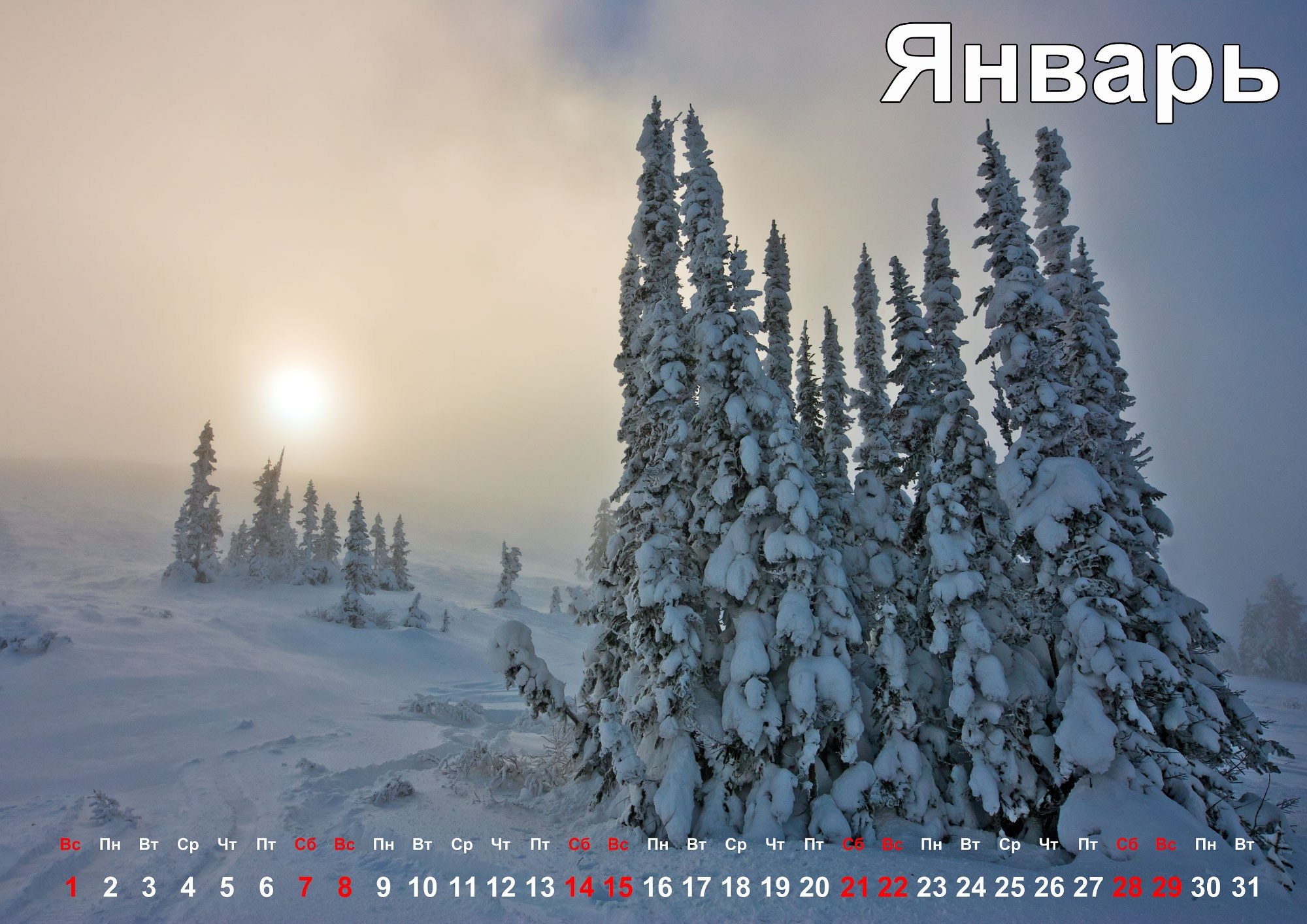 Свадебный фотограф в Геленджике