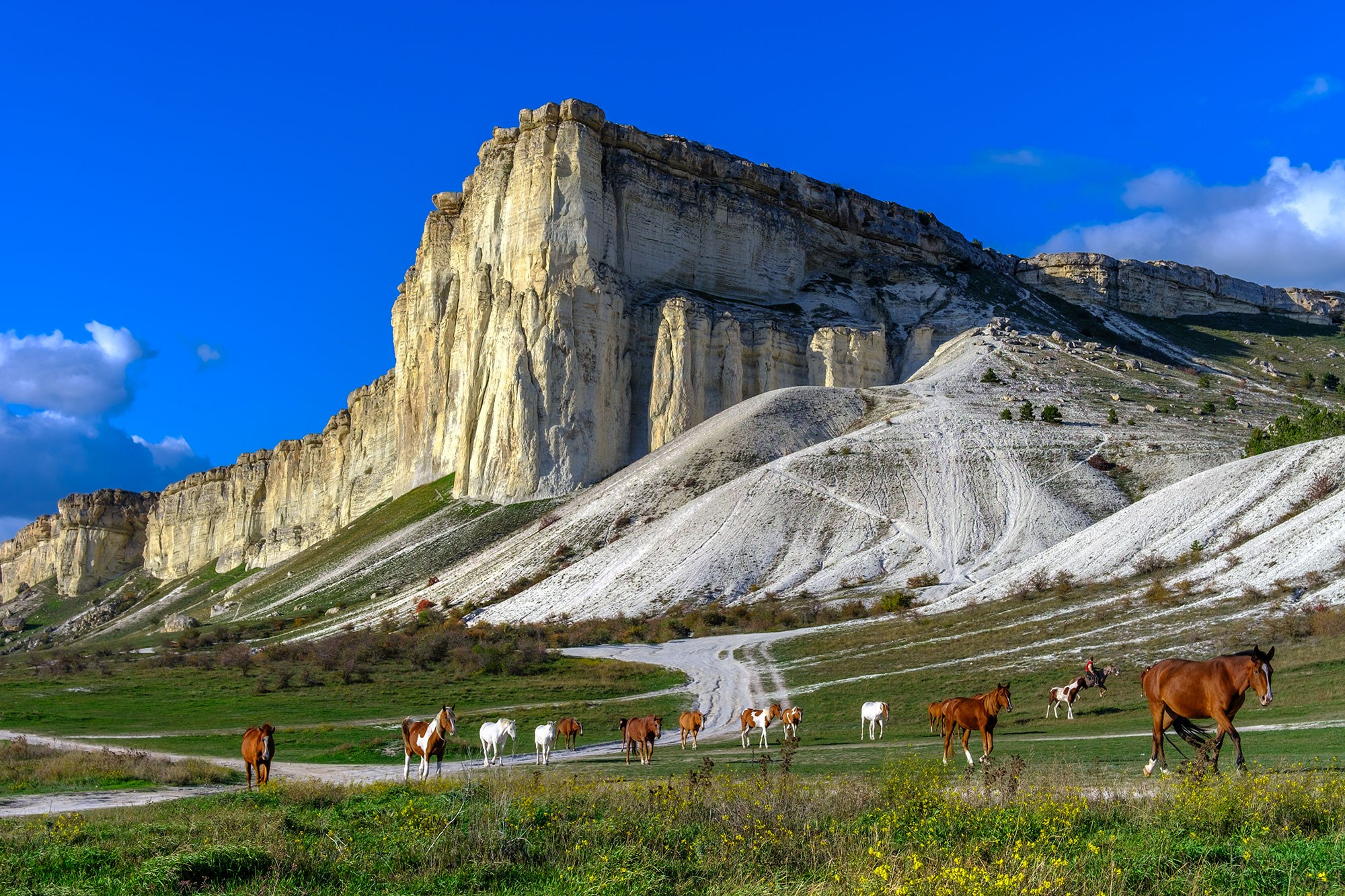 «Золотая осень в Крыму 2025»