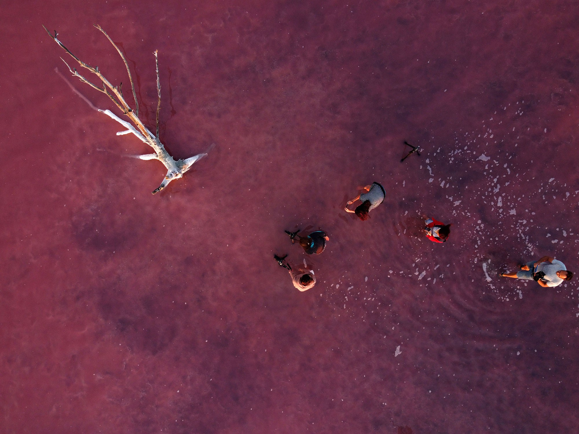 Свадебный фотограф в Геленджике
