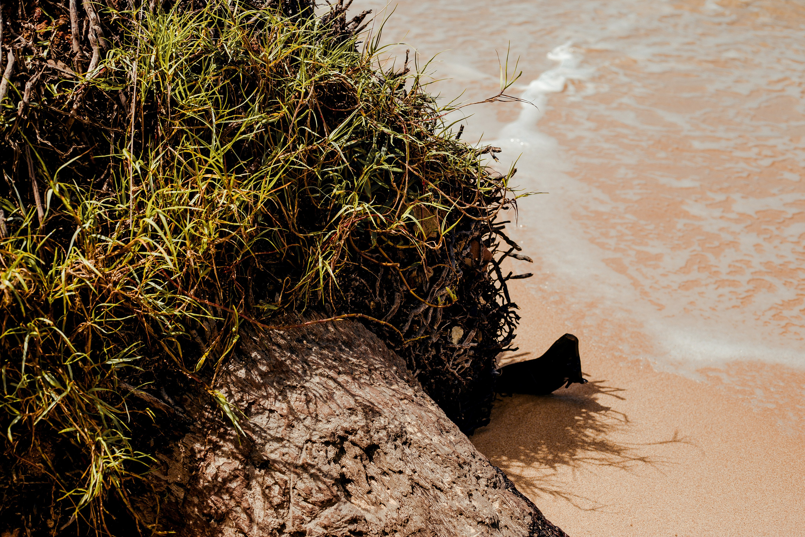 Sri Lanka. Art Photographer