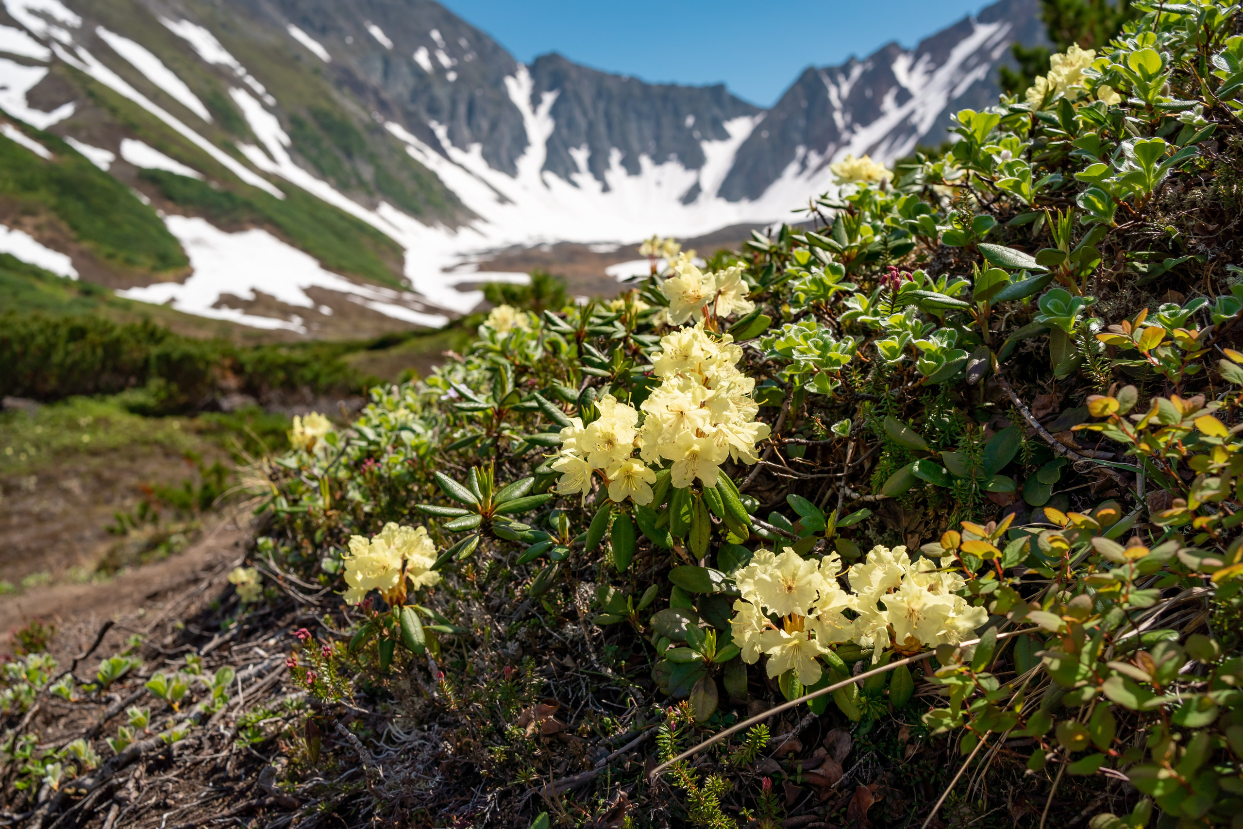 Камчатка. Семейный фотограф Варвара Сорока в городе Москве