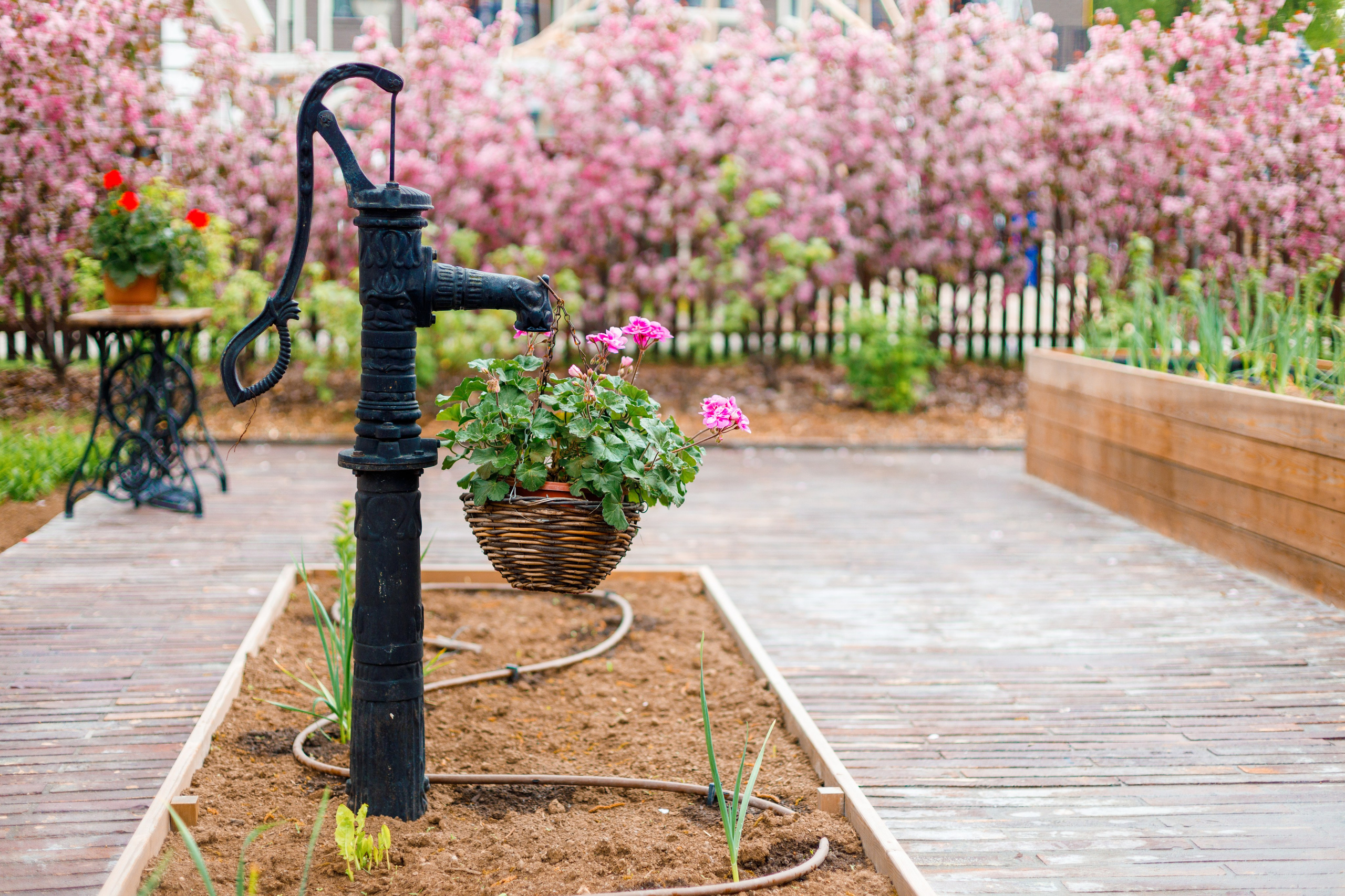 День рождения Полечки. Репортажный фотограф Борис Геер